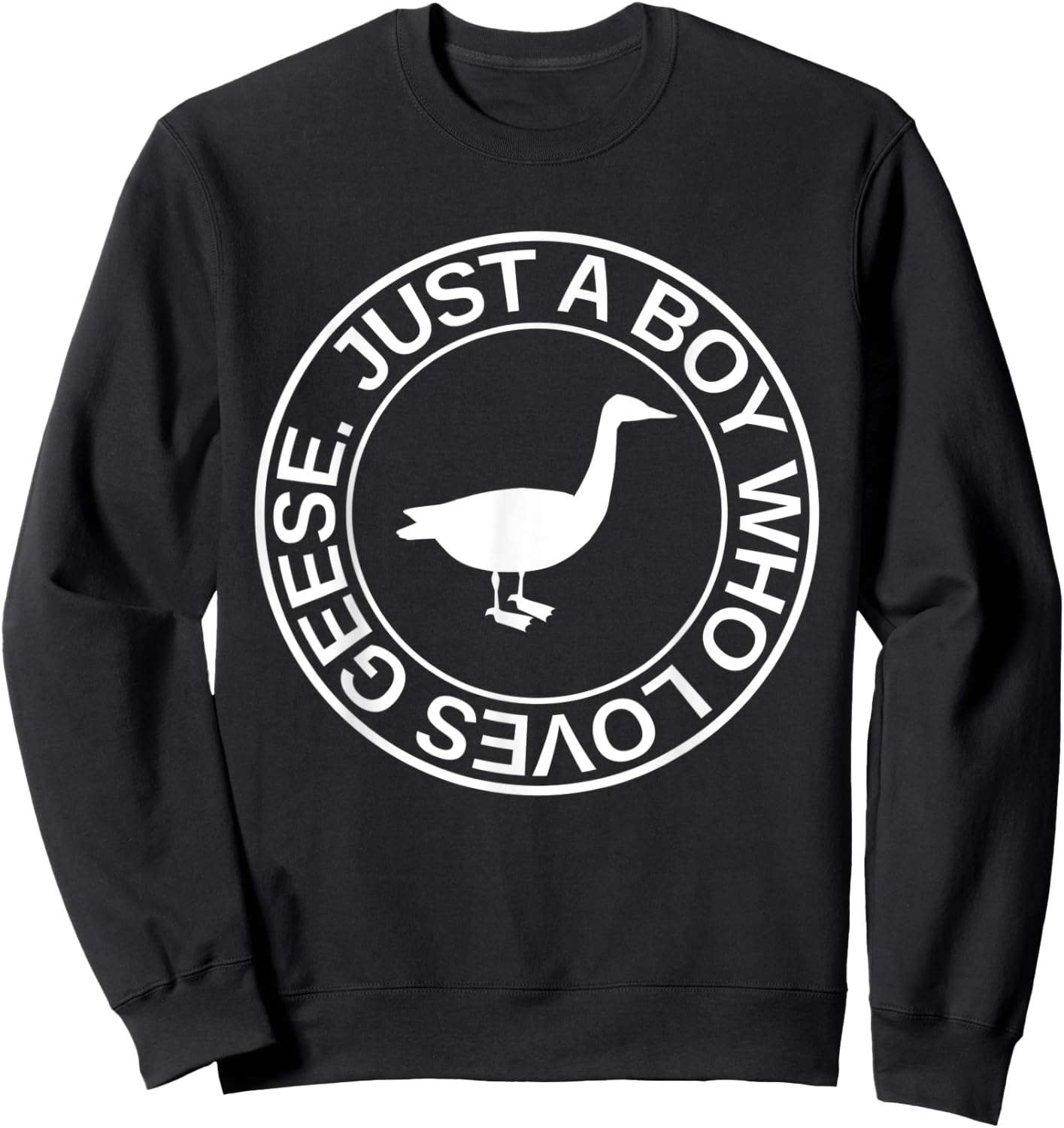 Just A Boy Who Loves Geese Gift Waterfowl Goose Sweatshirt - Sweatshirt | Black