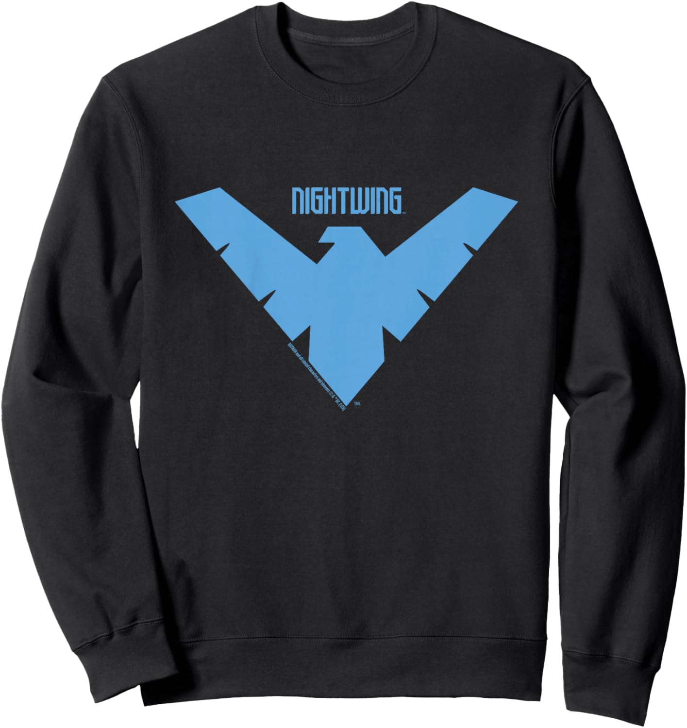 Kids Batman Nightwing Logo Kids , Black, 2 Sweatshirt - Sweatshirt | Black