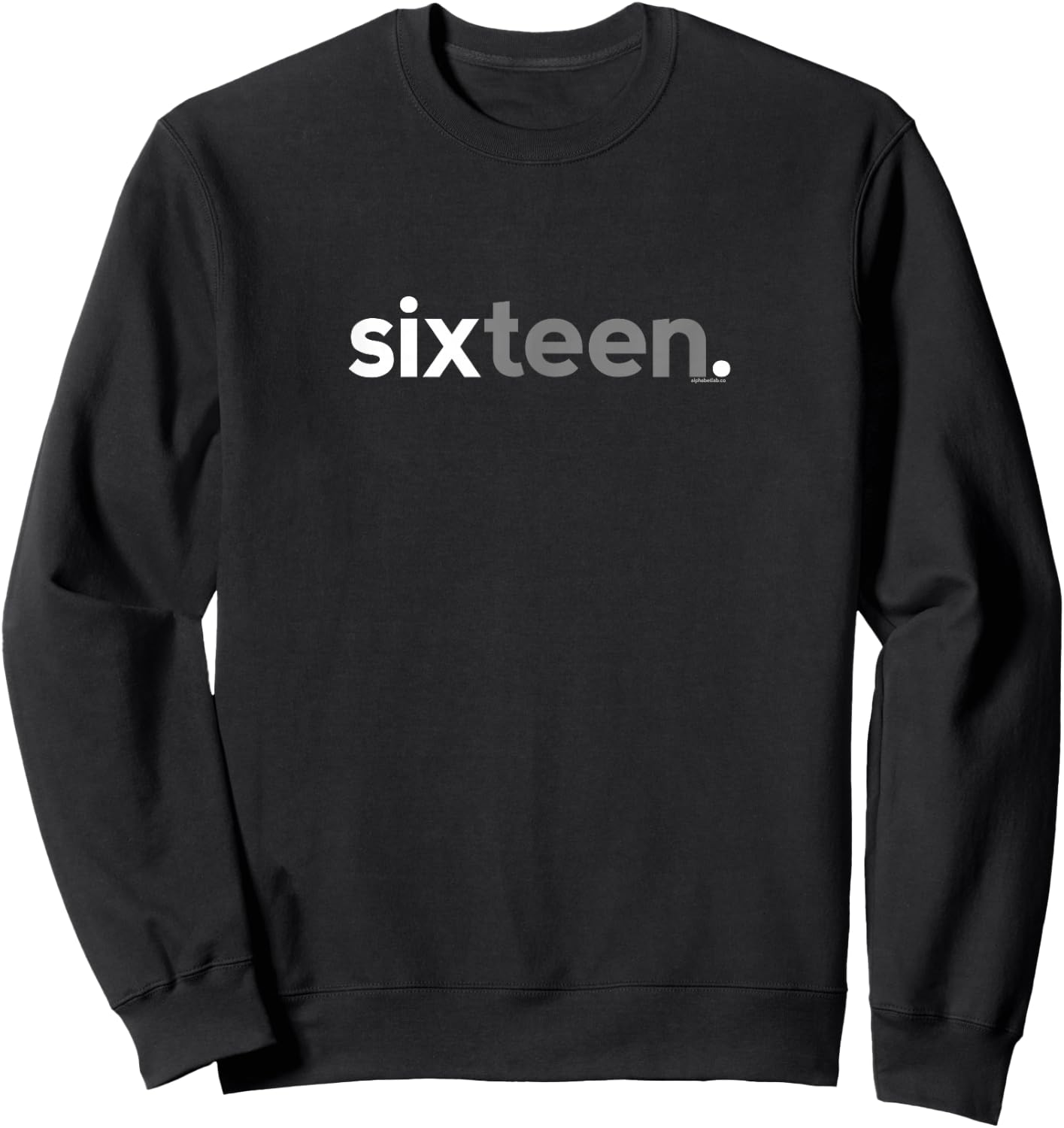 16th Birthday for Boys Sixteen Him Age 16 Year Party Teen Sweatshirt - Sweatshirt | Black