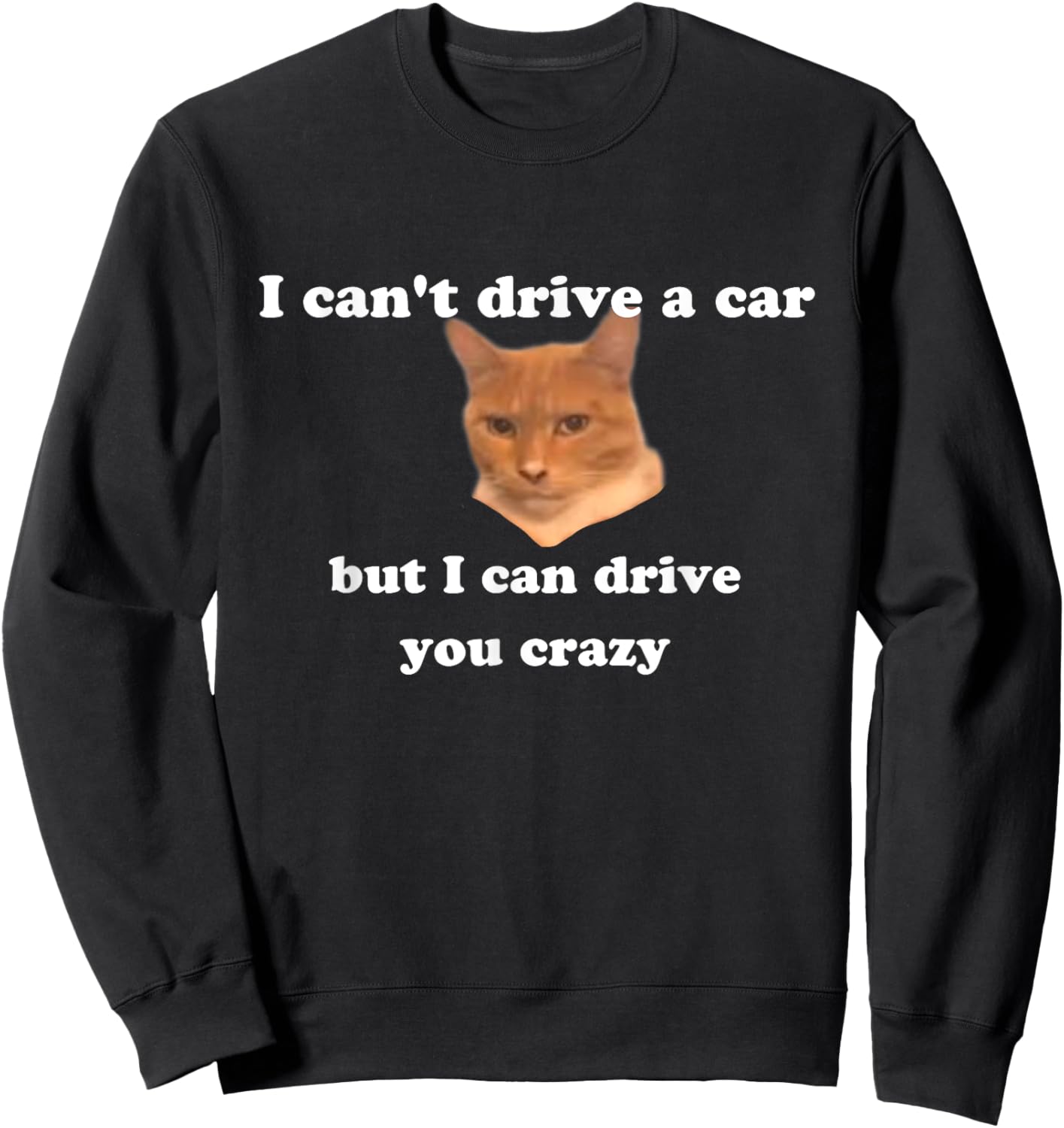 Funny cat Meme Men Women Kids Sweatshirt - Sweatshirt | Black
