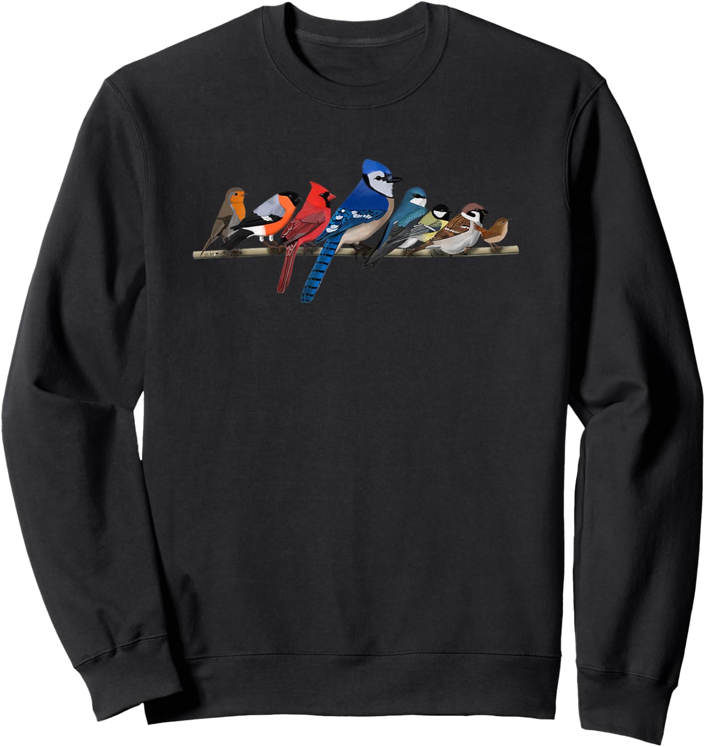 Garden Birds Blue Jay Bullfinch Ornithologist Biologist Sweatshirt - Sweatshirt | Black