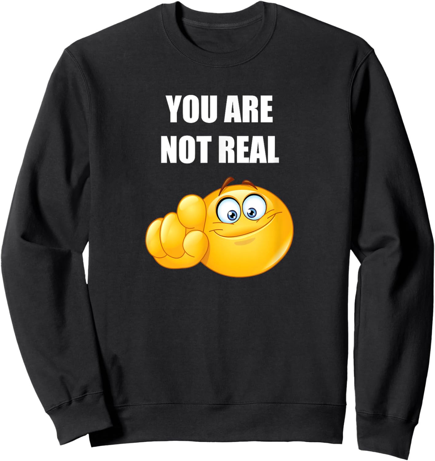 You Are Not Real Funny Pointing At You Sweatshirt - Sweatshirt | Black