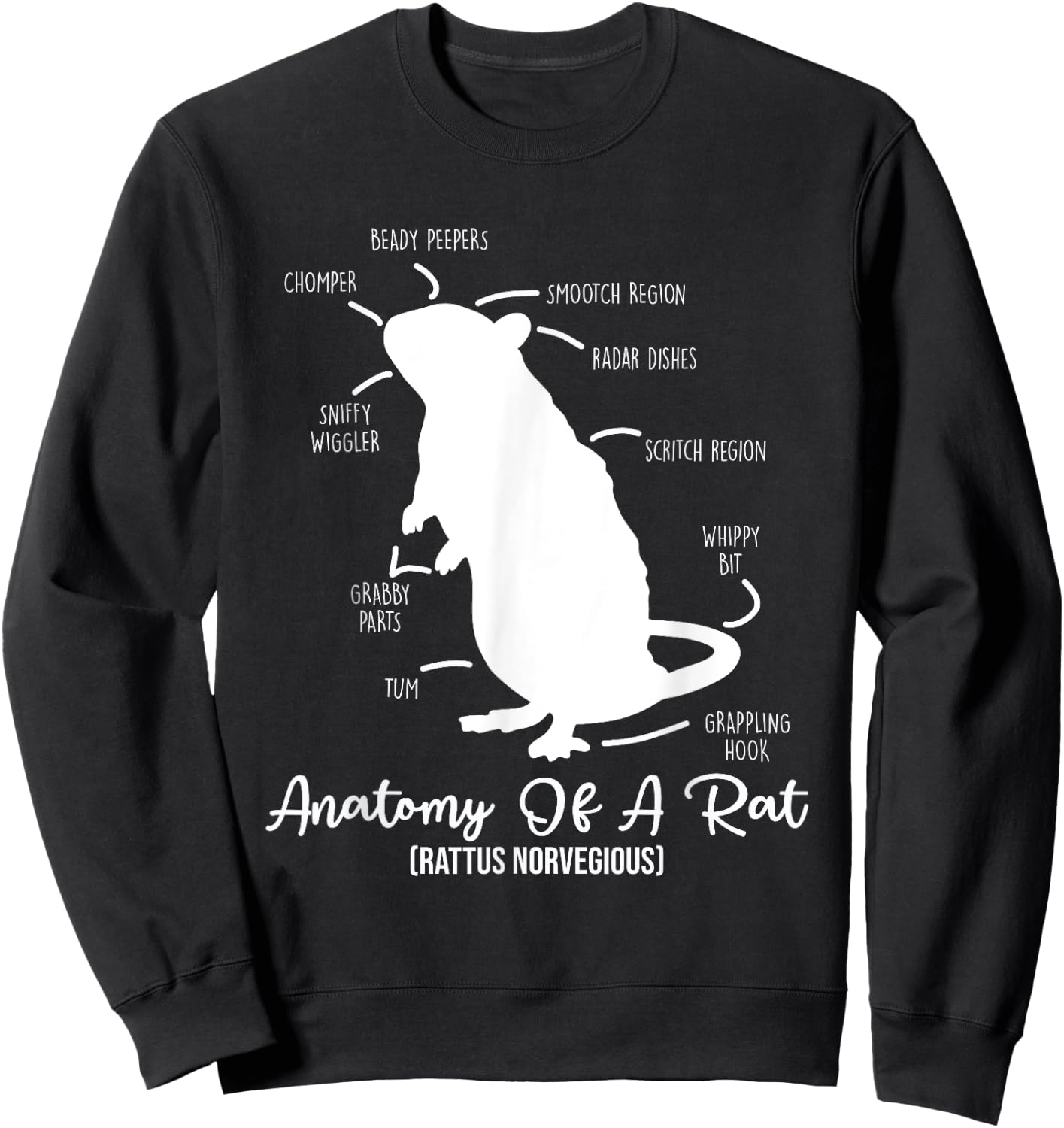 Anatomy of Rat for any rat lovers and pet rat owners Sweatshirt - Sweatshirt | Black
