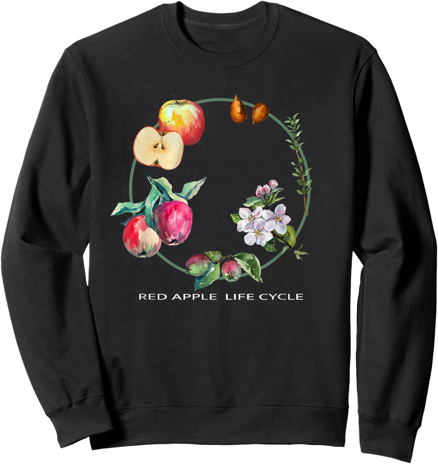Red Apple Tree Life Cycle Process From Seeds to Fruits Art Sweatshirt - Sweatshirt | Black