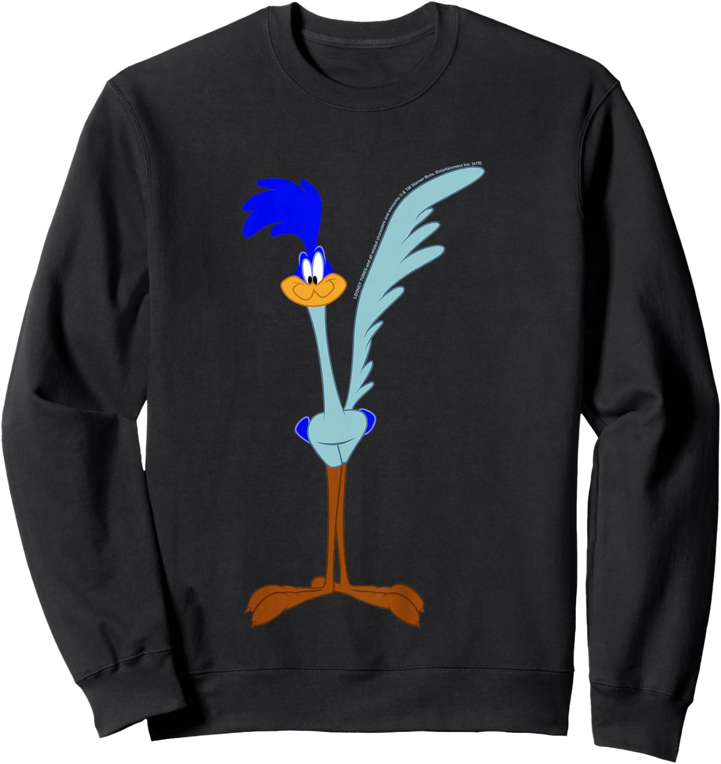 Kids Looney Tunes Road Runner Simple Portrait Sweatshirt - Sweatshirt | Black