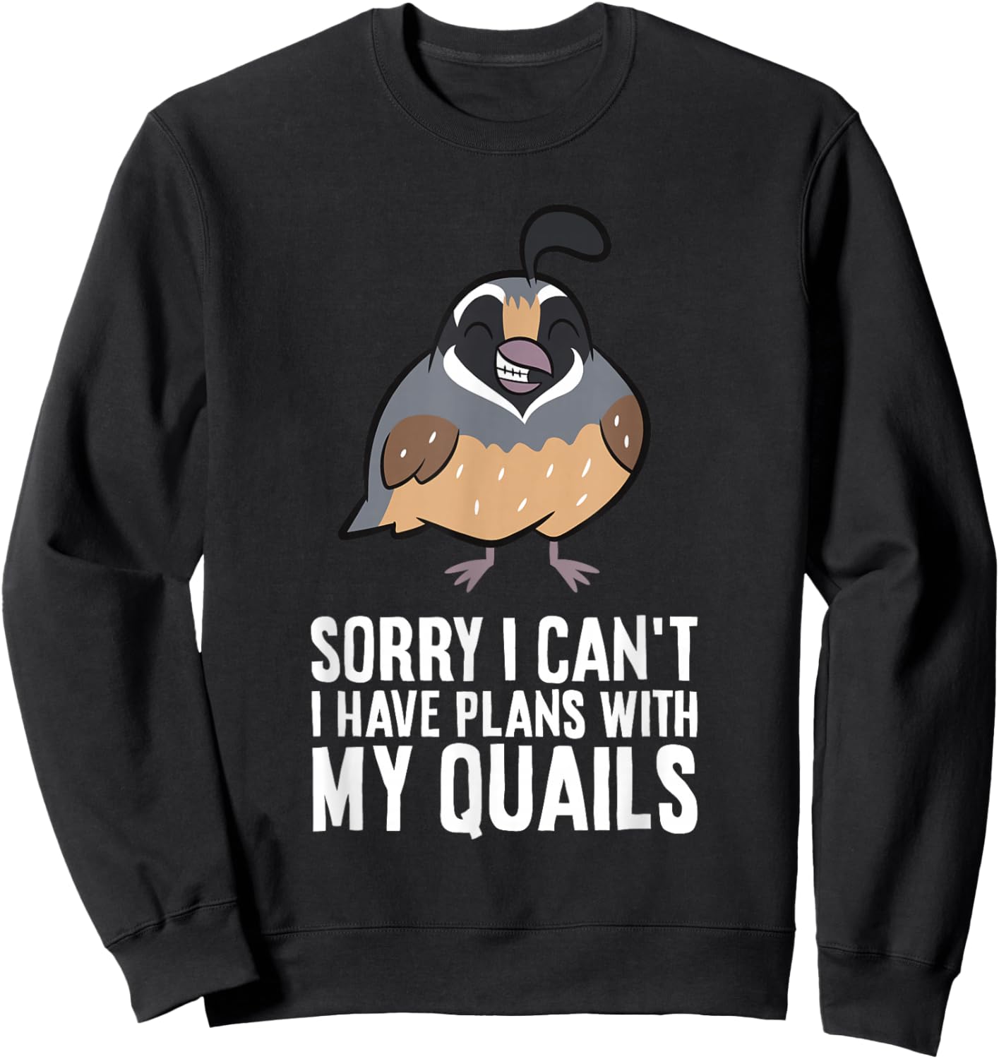 Sorry I Can't I Have Plans With My Quails Funny Common Quail Sweatshirt - Sweatshirt | Black