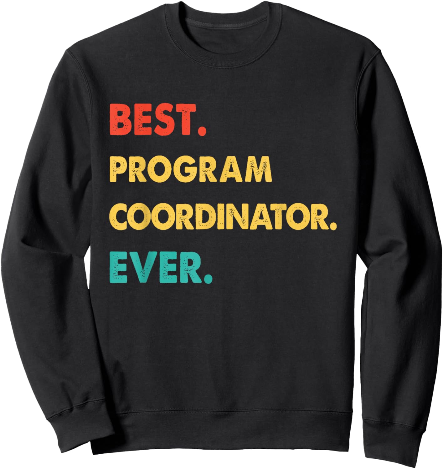 PROGRAM COORDINATOR Retro Best PROGRAM COORDINATOR Ever Sweatshirt - Sweatshirt | Black