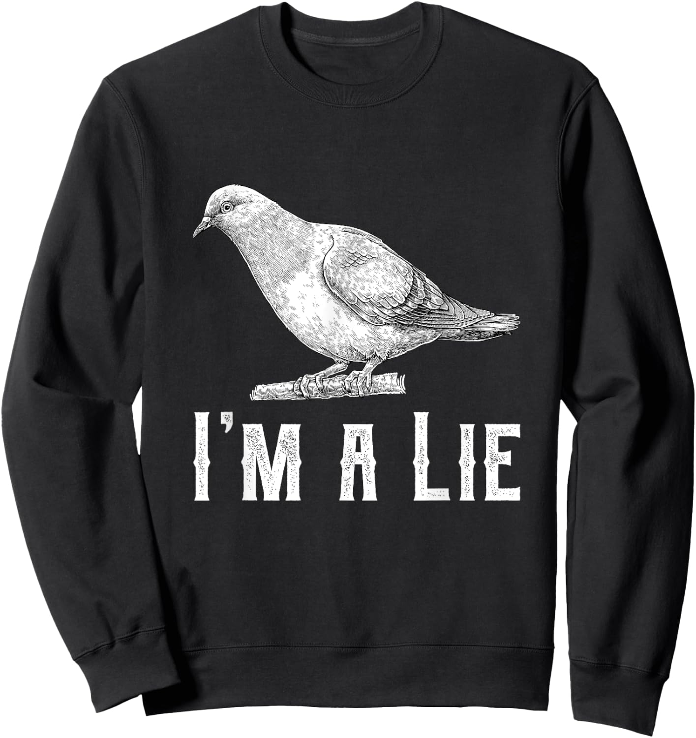 Vintage I Am A Lie Bird Aren't Real Spies Awesome Cute Gift Sweatshirt - Sweatshirt | Black