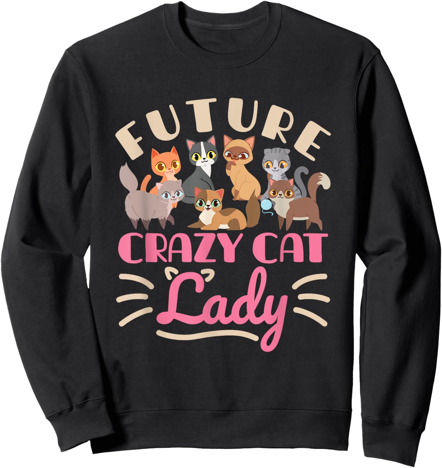 Future Crazy Cat Lady Cute Cats Funny Women Teen Girls Sweatshirt - Sweatshirt | Black