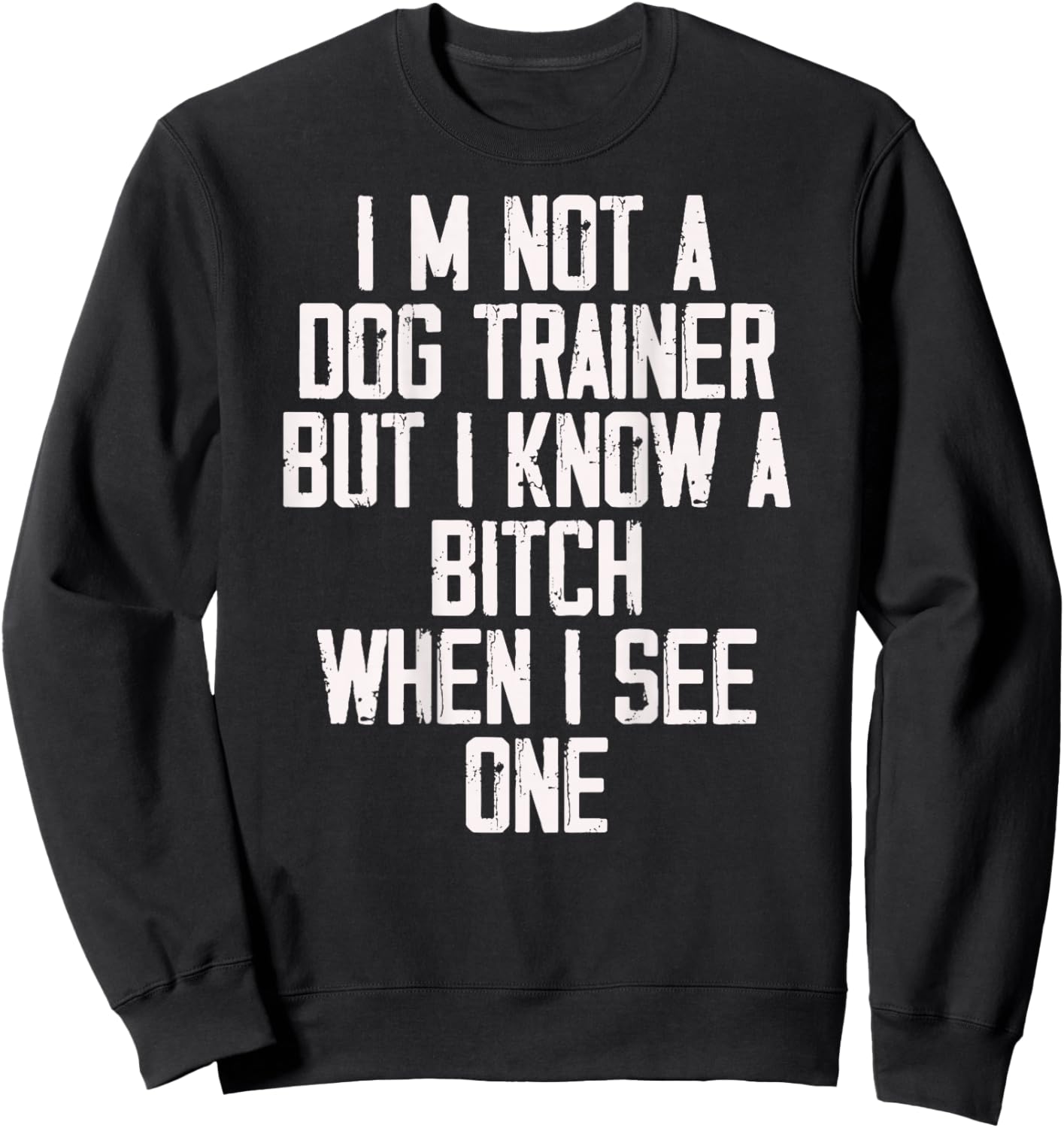 I'm Not A Dog Trainer But I Know A Bitch When I See One Sweatshirt - Sweatshirt | Black