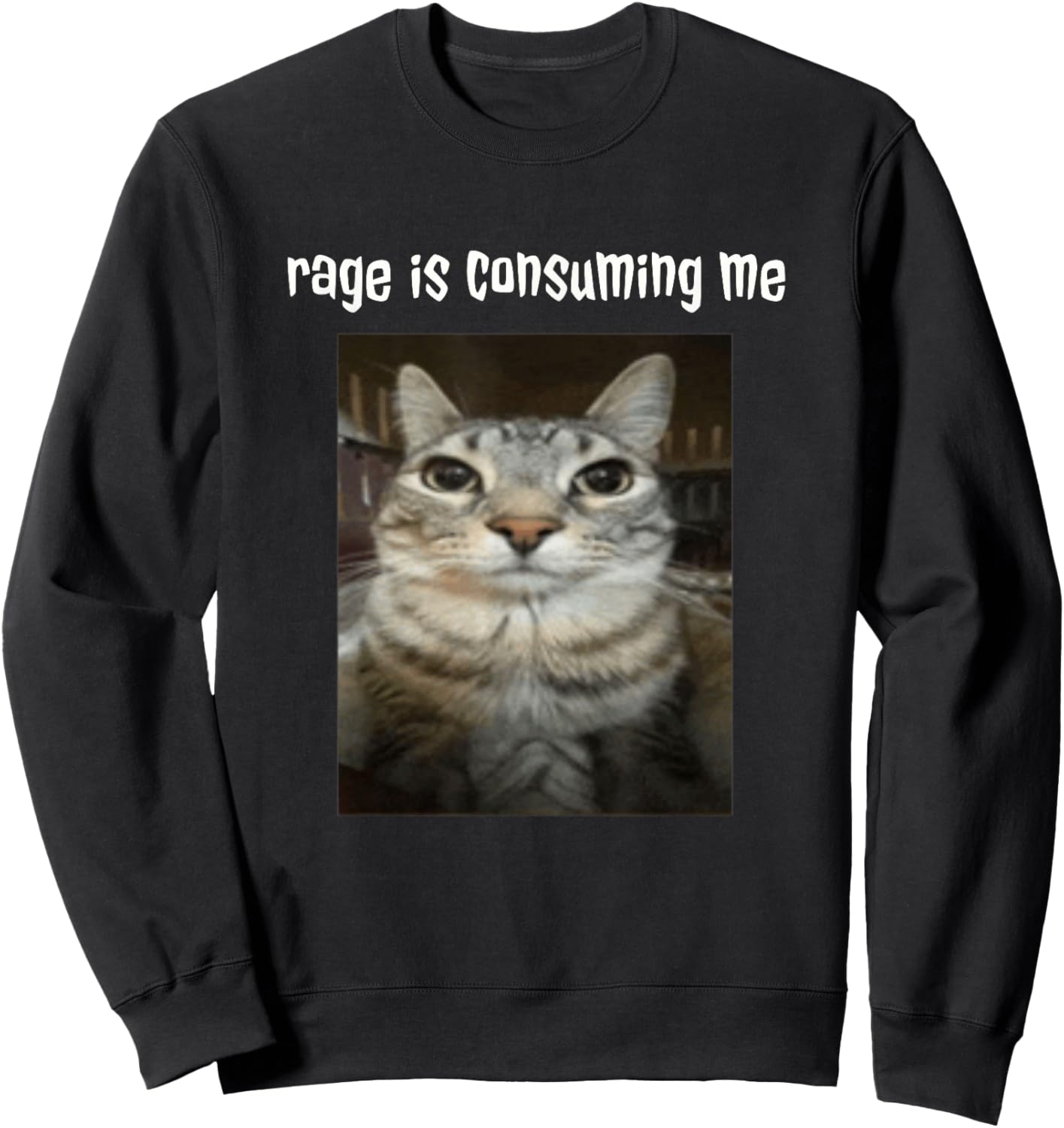 Silly Staring Cat Meme Rage Is Consuming Me Sweatshirt - Sweatshirt | Black