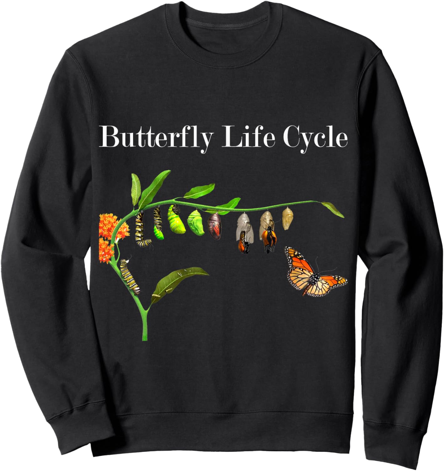 Butterfly Life Cycle Butterflies Natural Sciences Lover Sweatshirt - Sweatshirt | Black