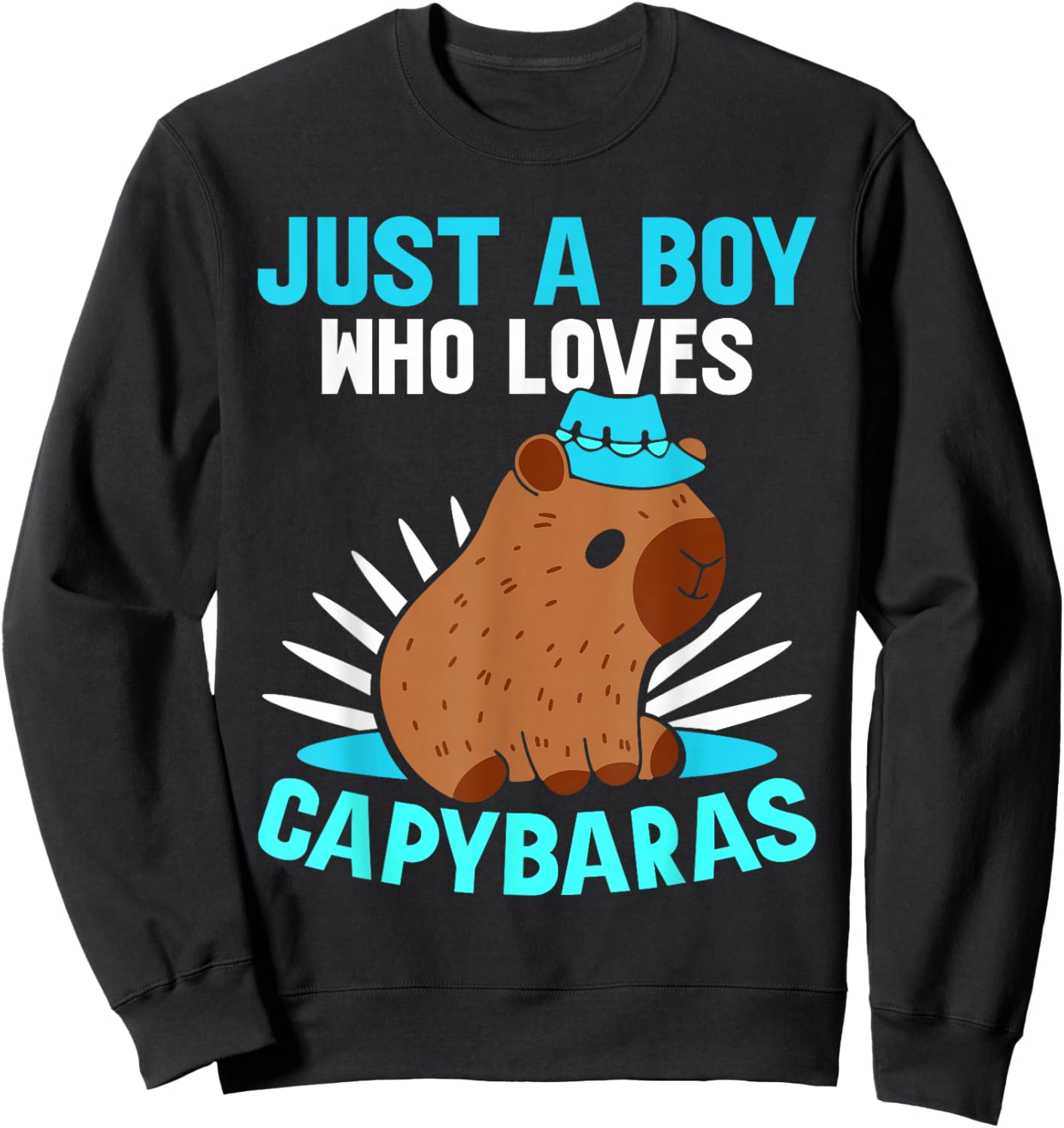 Just A Boy Who Loves Capybaras Lover Capybara Rodent Animal Sweatshirt - Sweatshirt | Black