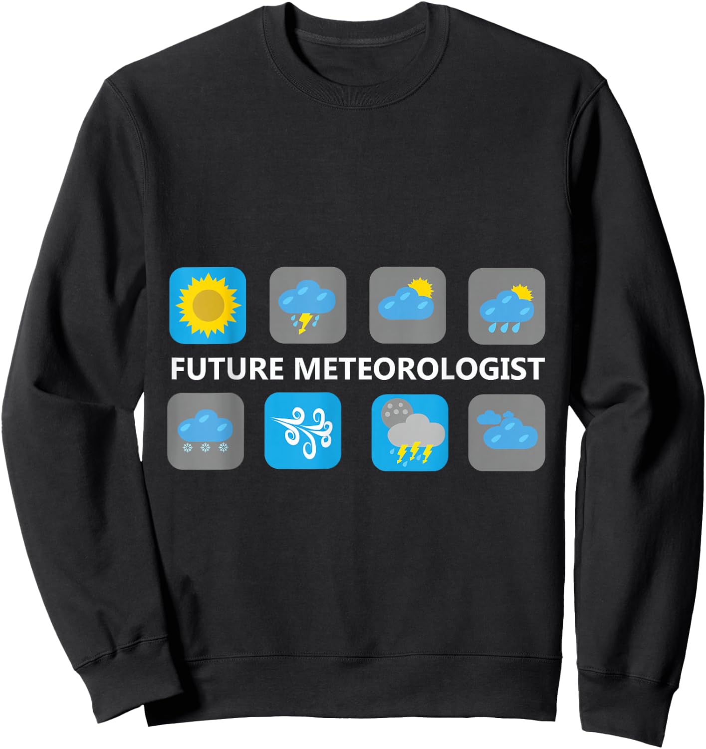 Weather Icon Future Meteorologist Sweatshirt - Sweatshirt | Black