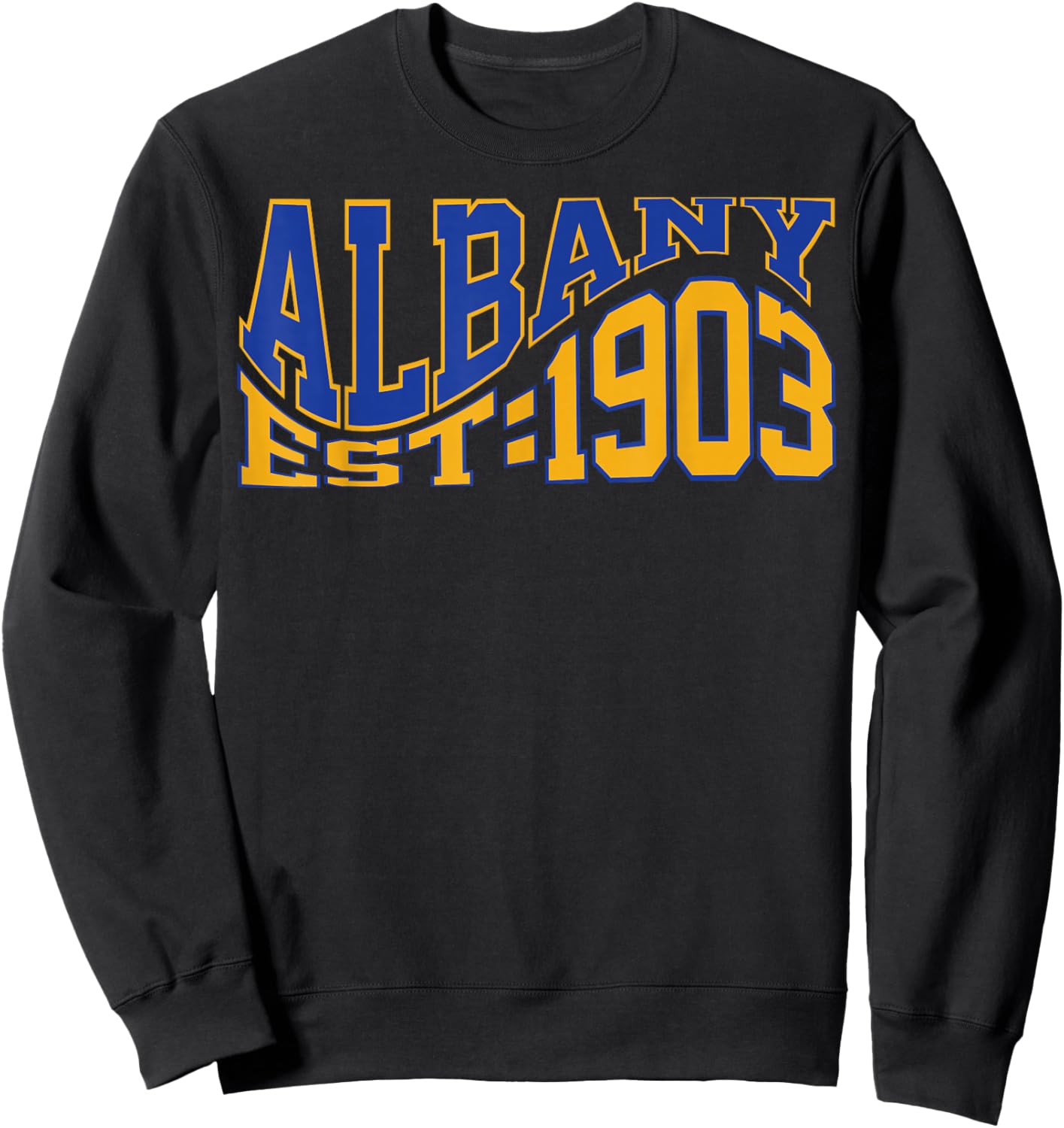 Retro Albany Wave Text City Vintage State Sweatshirt - Sweatshirt | Black
