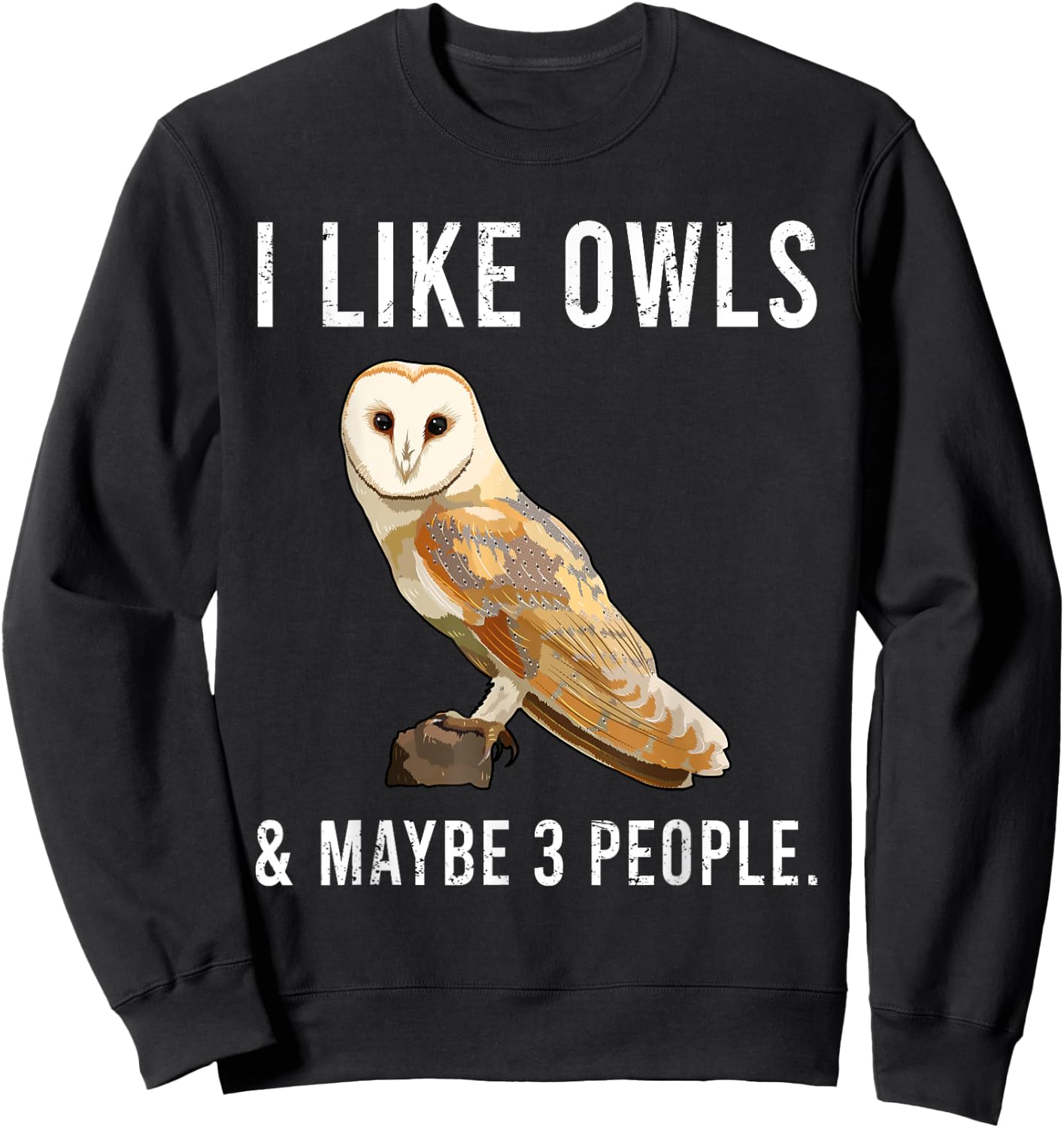 Funny I Like Barn Owls And Maybe 3 People Sweatshirt - Sweatshirt | Black