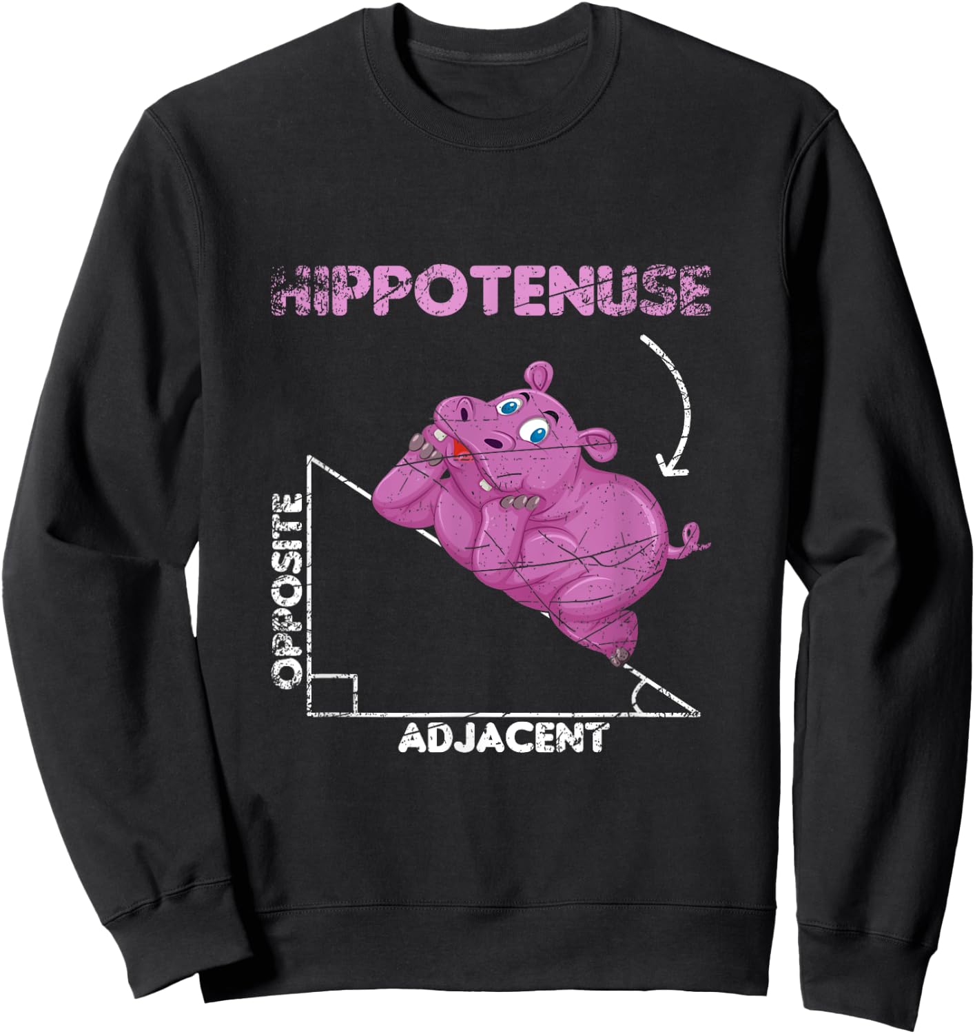 Math Hippotenuse Hippo Sweatshirt - Sweatshirt | Black