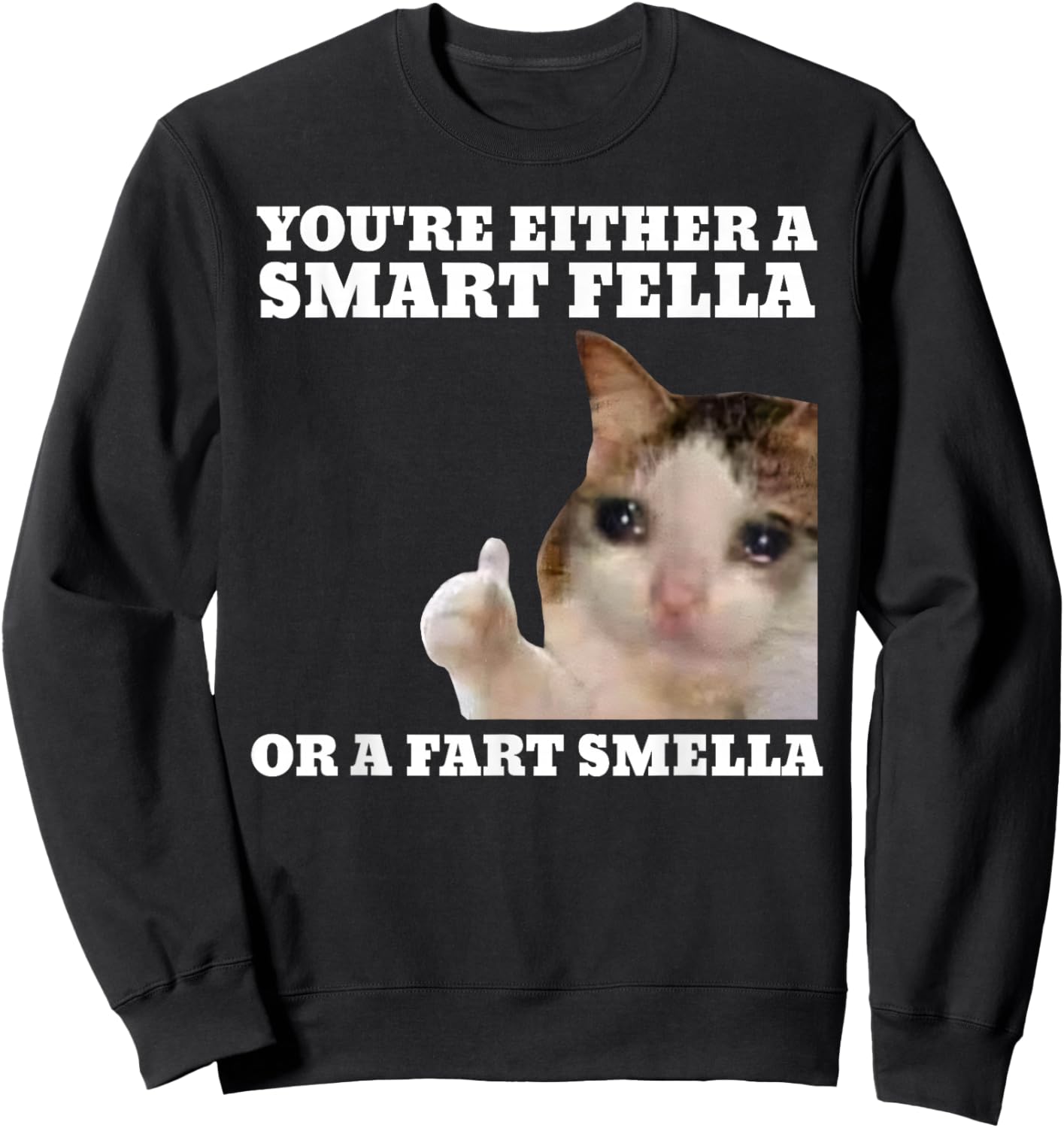 Funny Cat You're Either A Smart Fella Or A Fart Smella Sweatshirt - Sweatshirt | Black