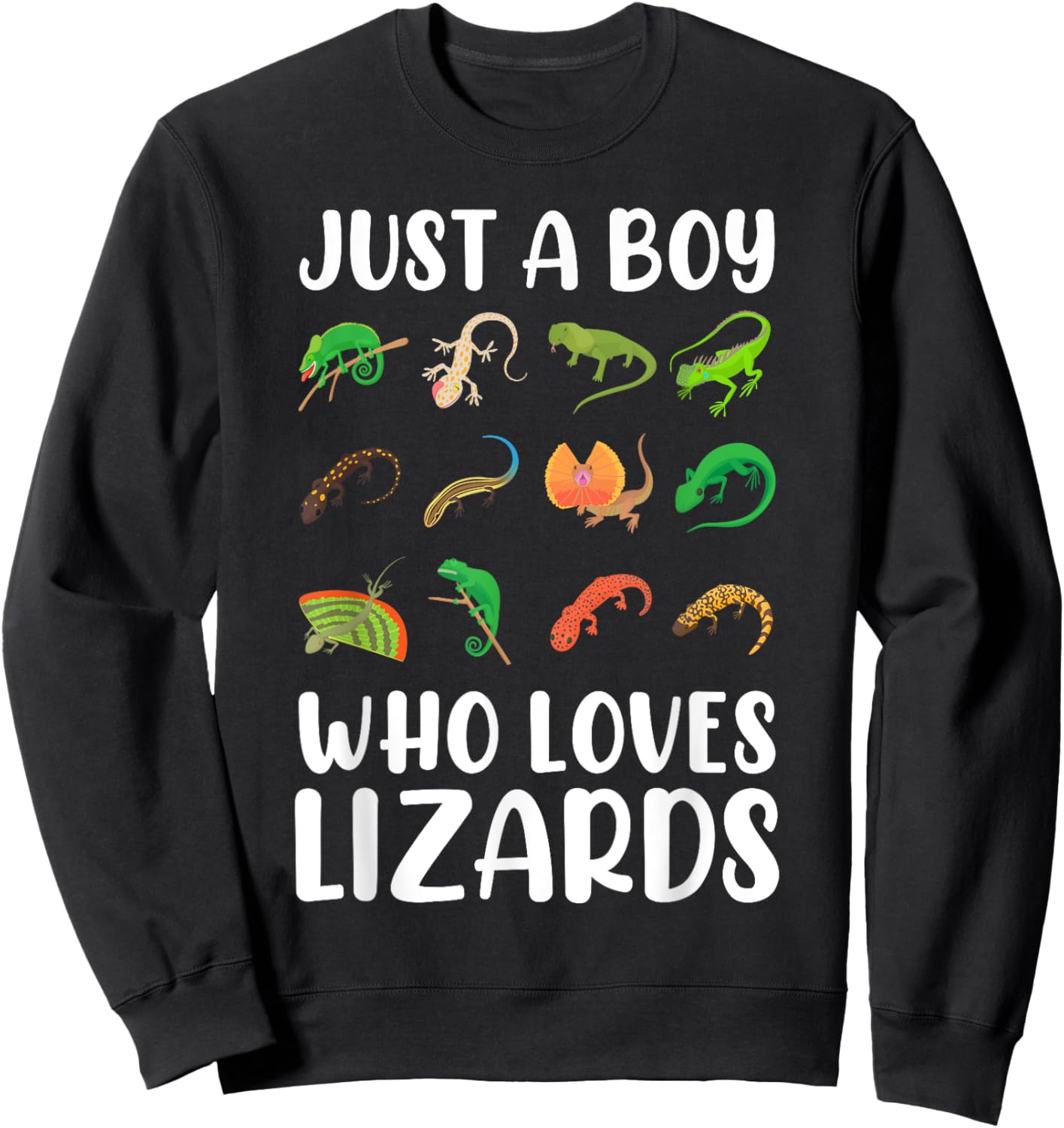 Reptile Kids Lizard Just A Boy Who Loves Lizards Sweatshirt - Sweatshirt | Black