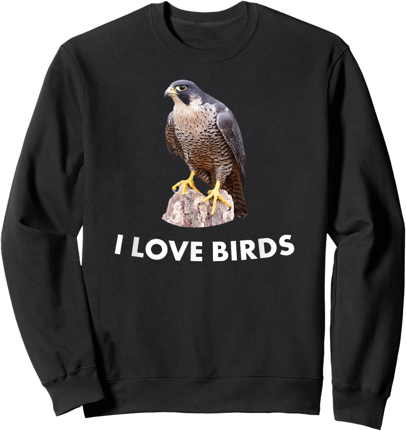 Peregrine Falcon Bird Birding Gift Sweatshirt - Sweatshirt | Black