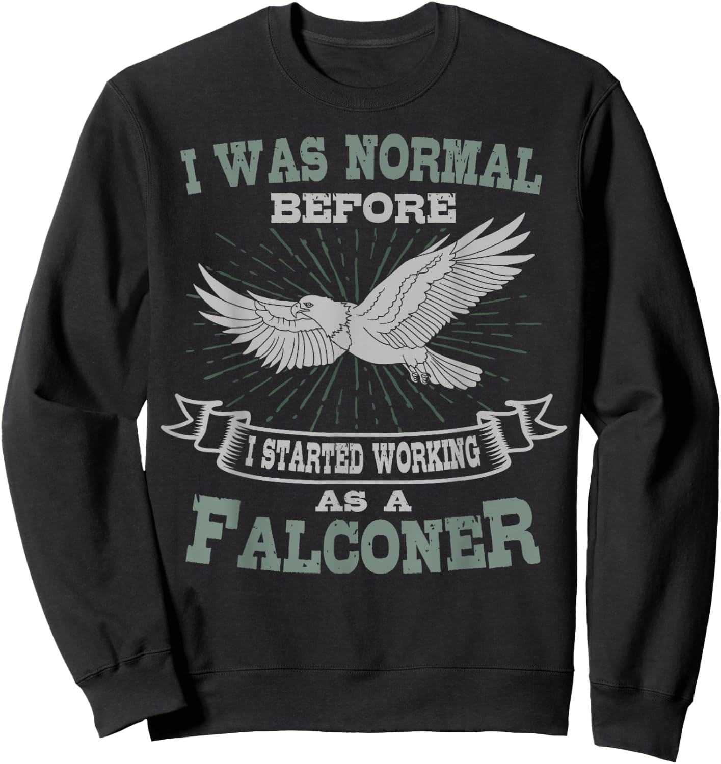 Falconer Falconry Gamehawking Falcon Hawker I Was Normal Sweatshirt - Sweatshirt | Black