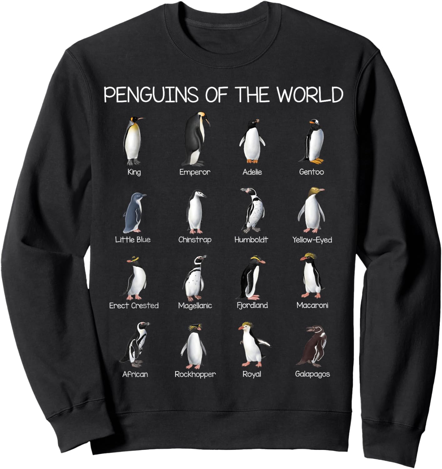 Penguin Types Penguins Of The World Gifts Sweatshirt - Sweatshirt | Black