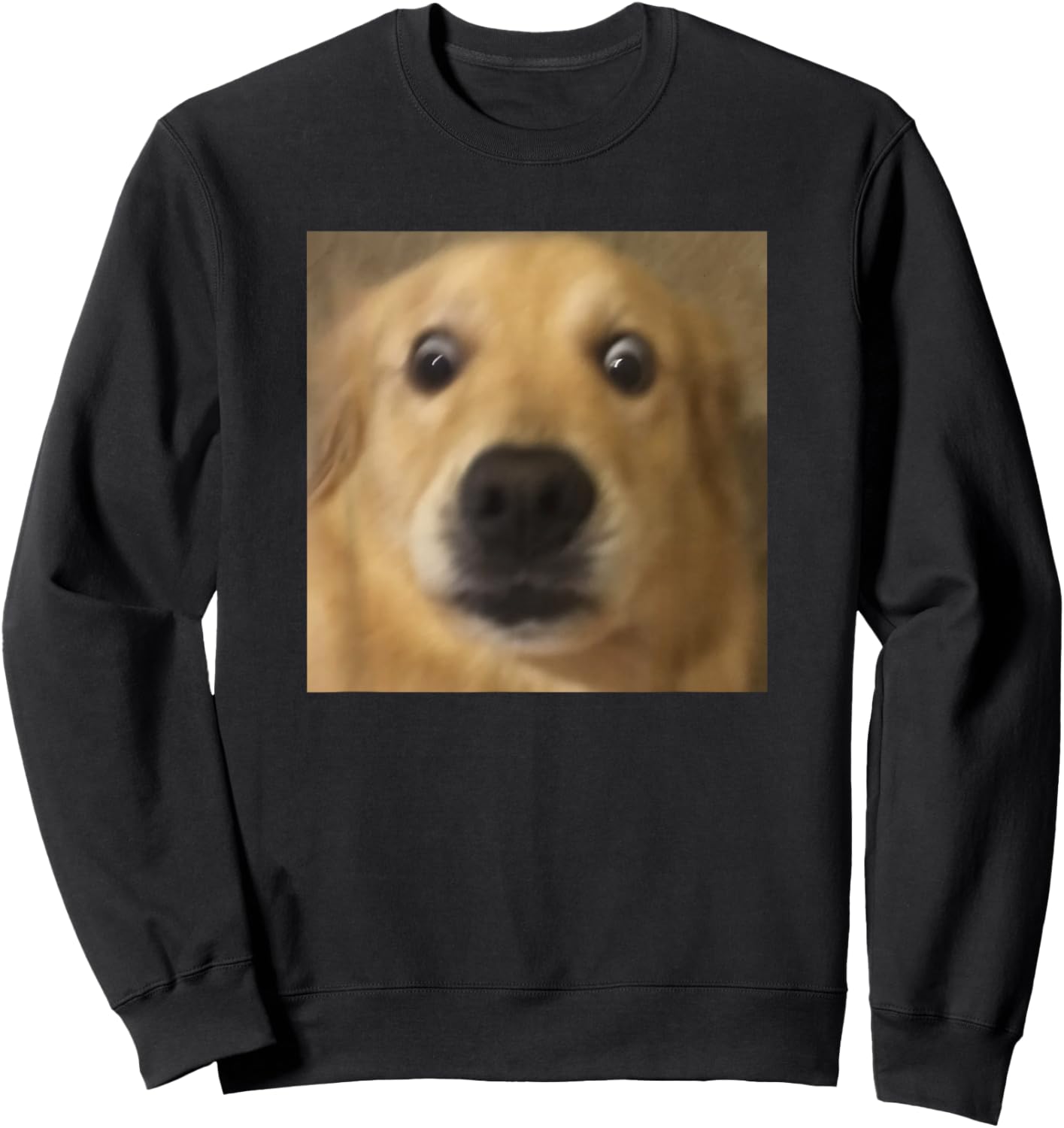 Funny Surprised Golden Retriever Face Blur Meme Sweatshirt - Sweatshirt | Black