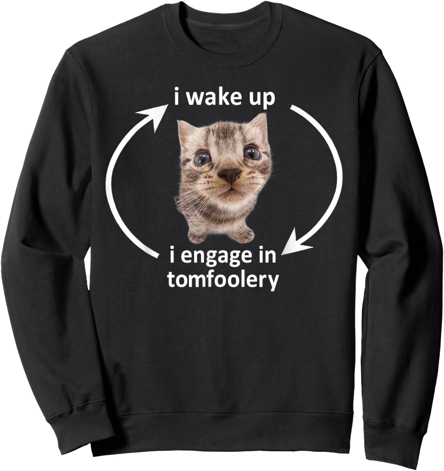 I Wake Up I Engage In Tomfoolery Funny Cat Meme Men Women Sweatshirt - Sweatshirt | Black