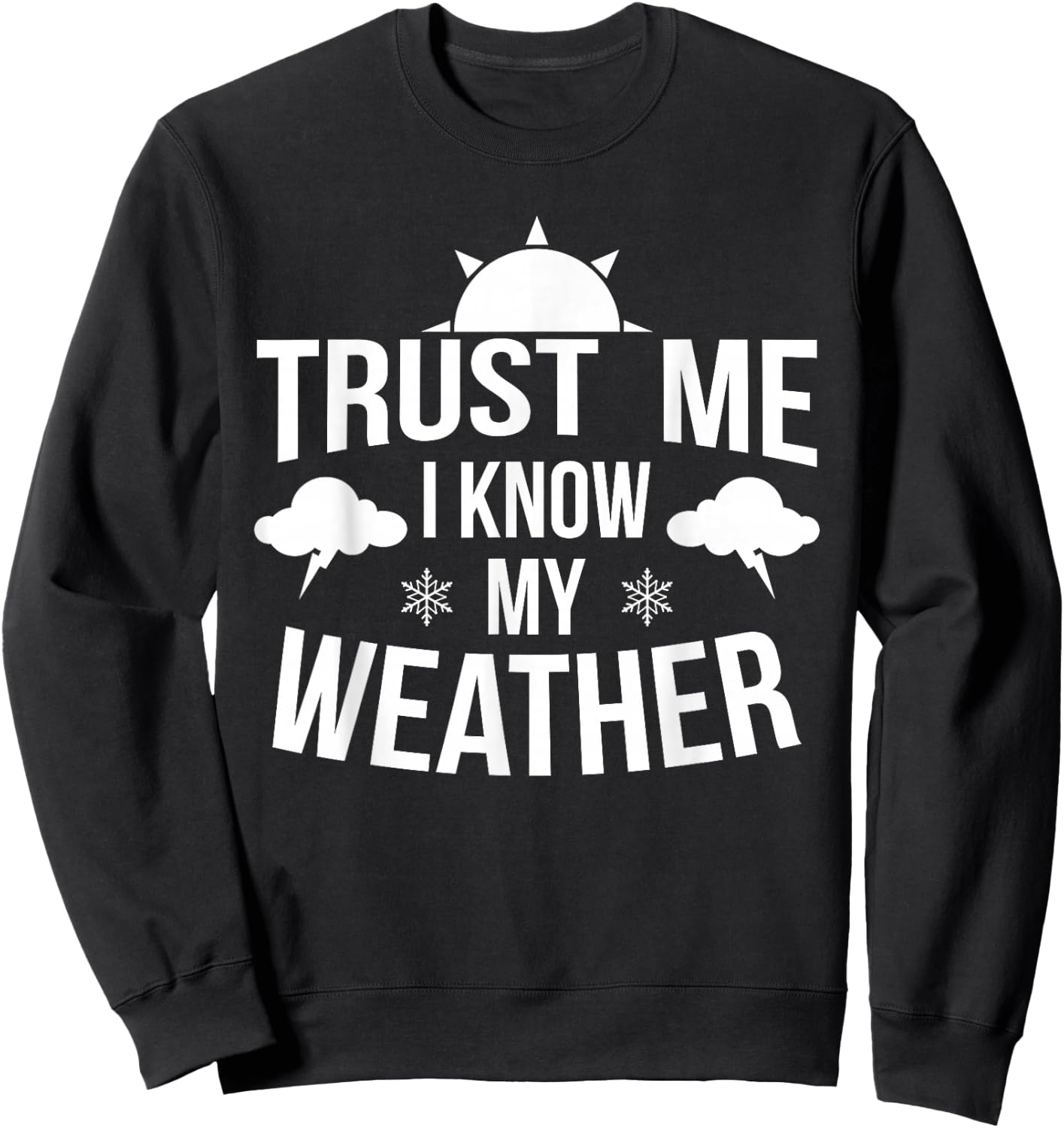 Weather Meteorologist Gift Forecaster Weatherman Climate Fun Sweatshirt - Sweatshirt | Black