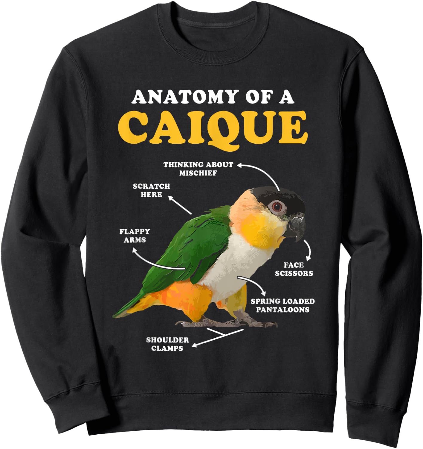 Anatomy Of A Caique Bird Animal Pet Zookeeper Sweatshirt - Sweatshirt | Black