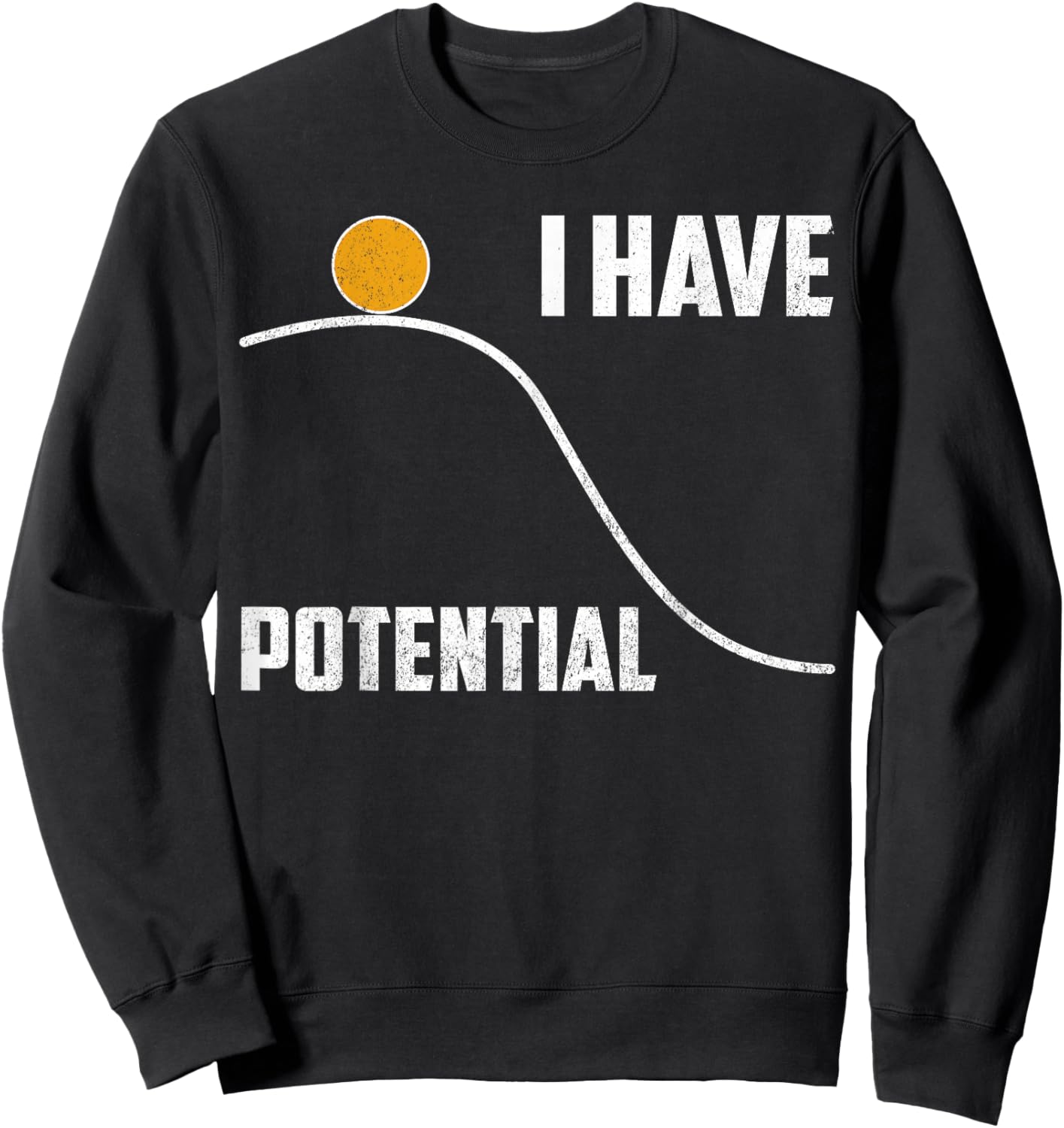 Physics T Shirt I Have Potential Funny Science Teacher Gift Sweatshirt - Sweatshirt | Black