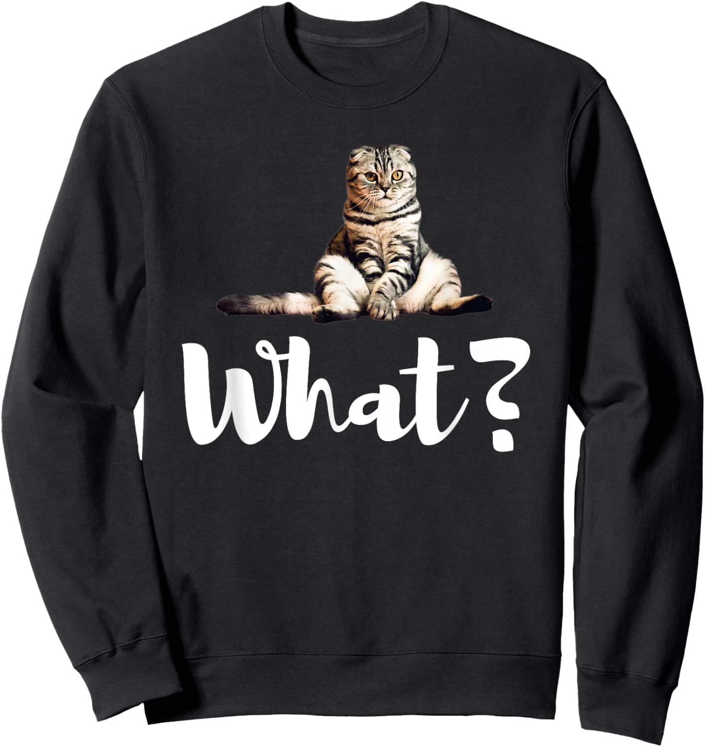 Scottish Fold Cats Funny What Cute Kitten Gifts Sweatshirt - Sweatshirt | Black