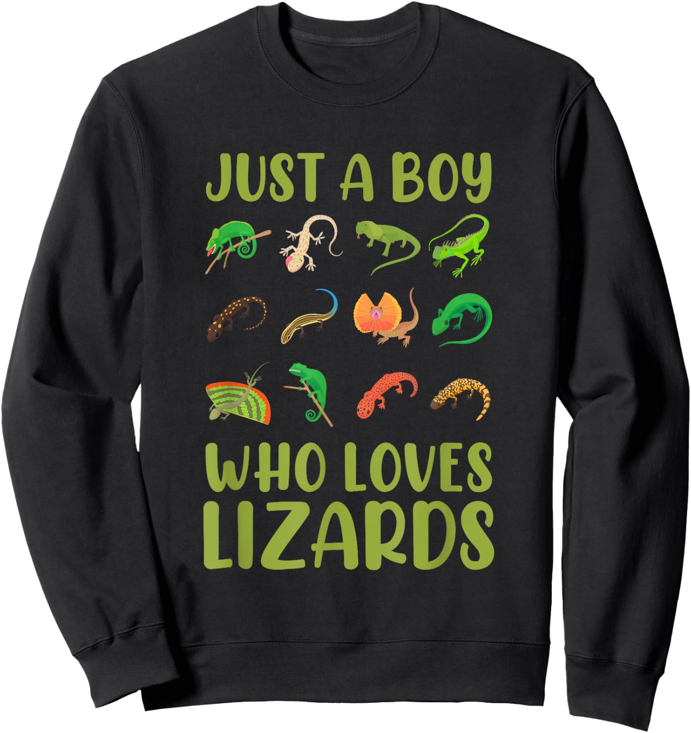 Kids Reptile Bearded Dragon Just A Boy Who Loves Lizards Sweatshirt - Sweatshirt | Black
