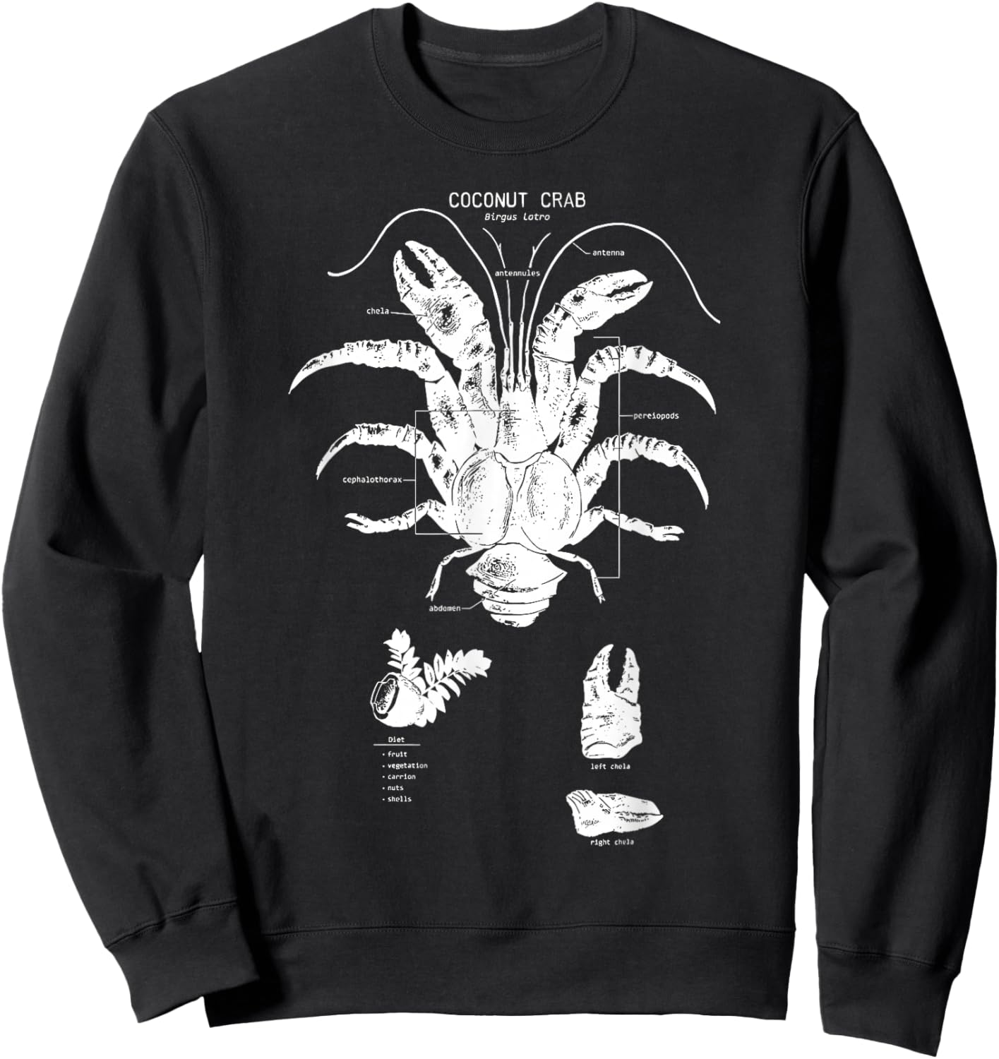 Coconut Crab Anatomy Marine Biology Cute Sea Animal Ocean Sweatshirt - Sweatshirt | Black