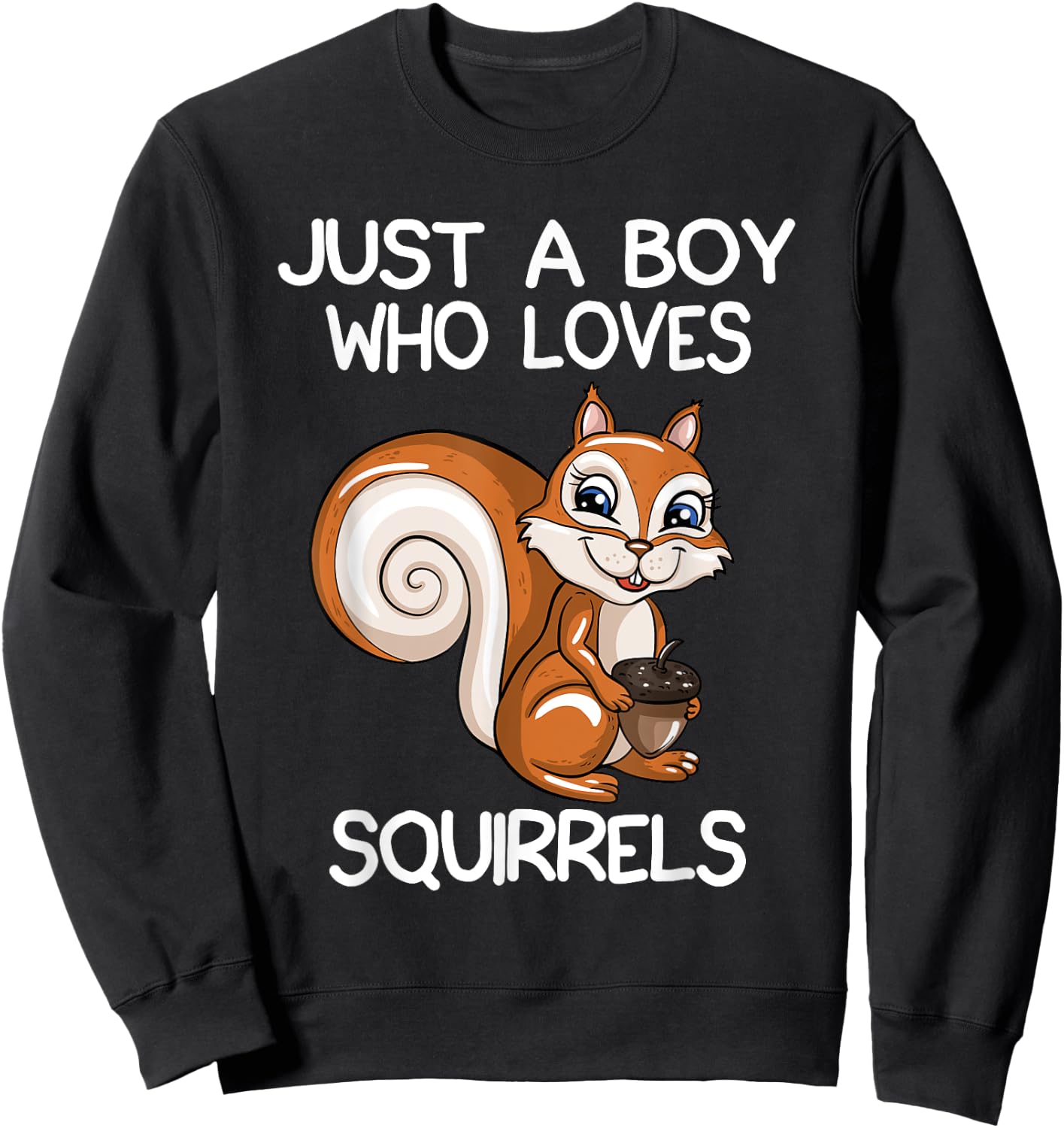 Just A Boy Who Loves Squirrels Gift Squirrel Lover Sweatshirt - Sweatshirt | Black