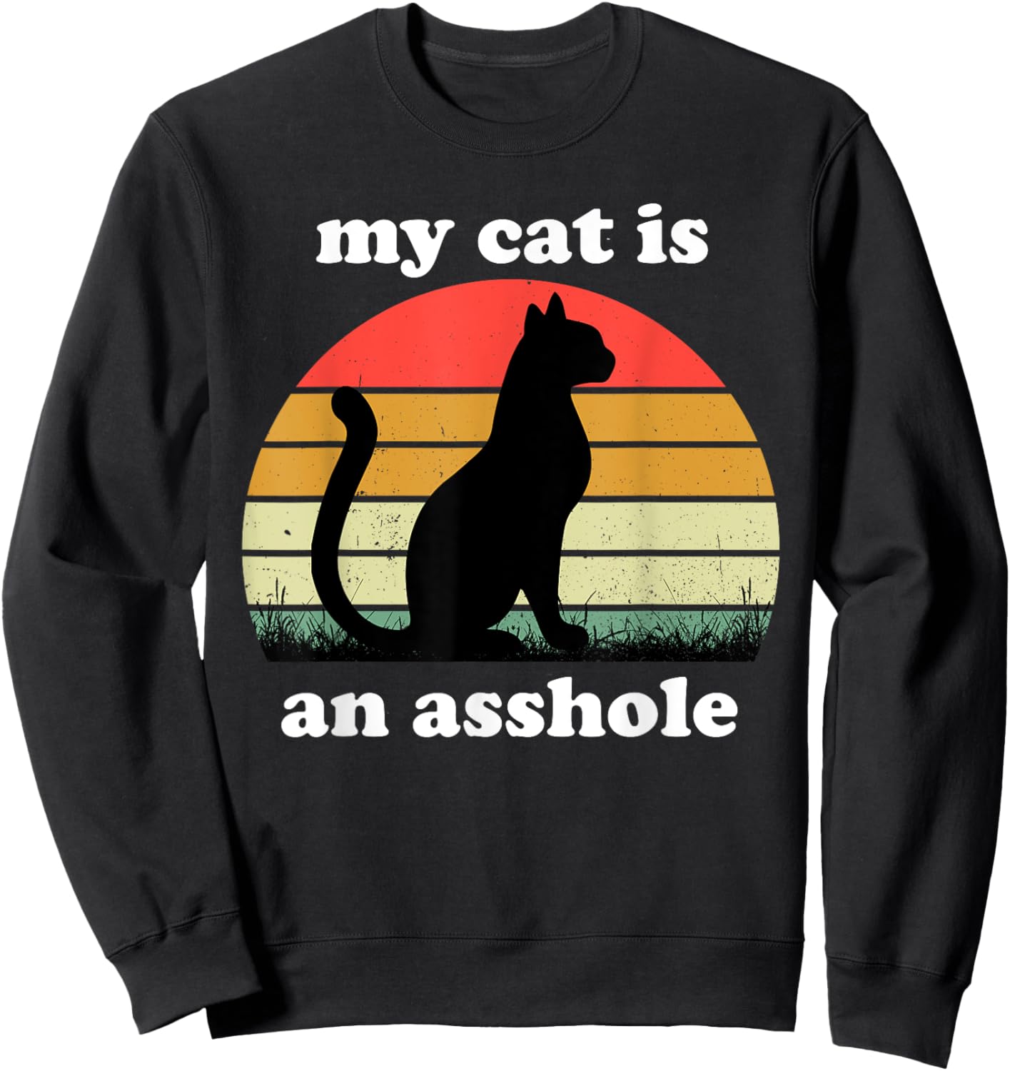 My Cat Is An Asshole | Funny Sarcastic Cat Saying Women Sweatshirt - Sweatshirt | Black