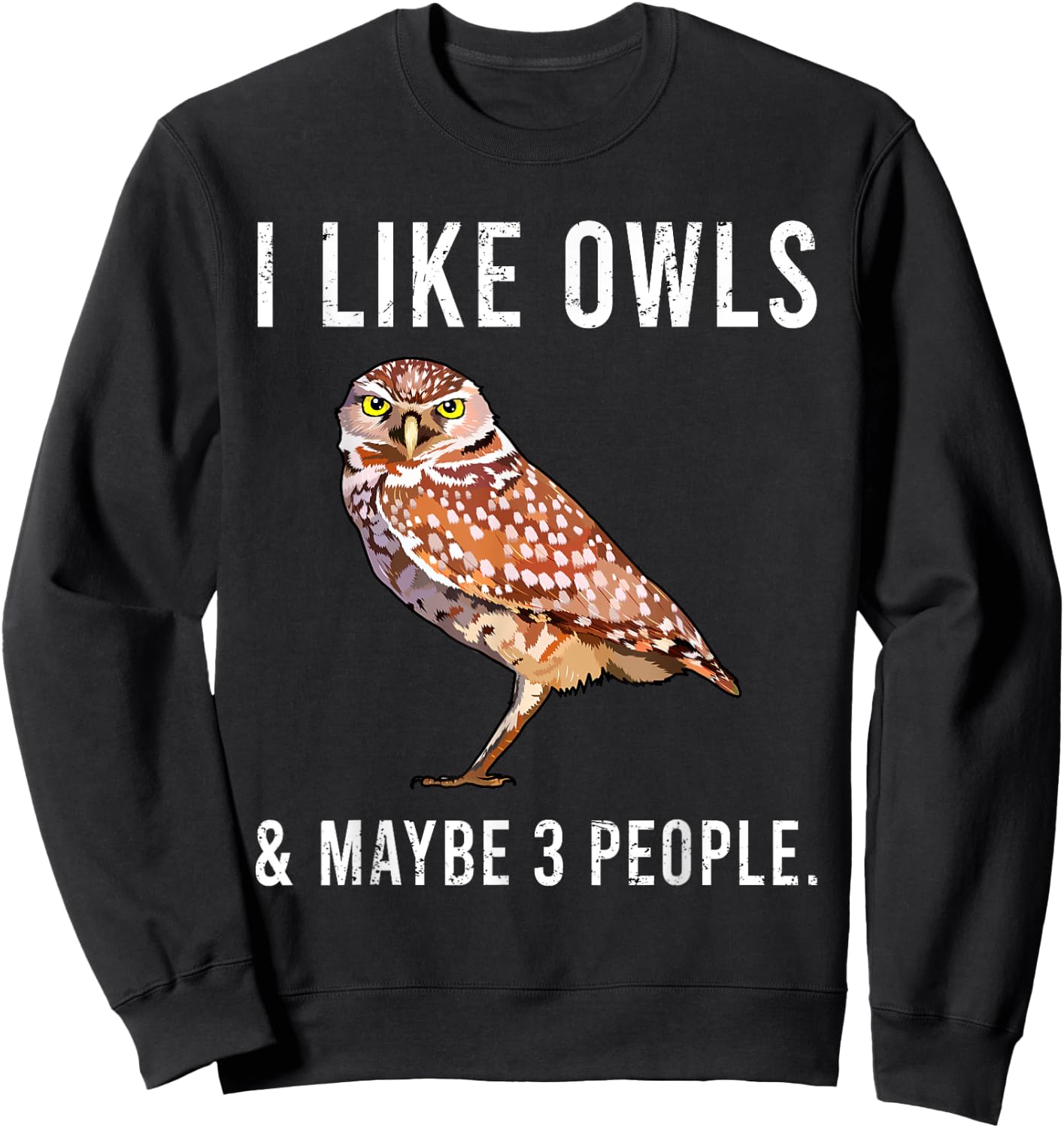 Funny I Like Burrowing Owls And Maybe 3 People Sweatshirt - Sweatshirt | Black
