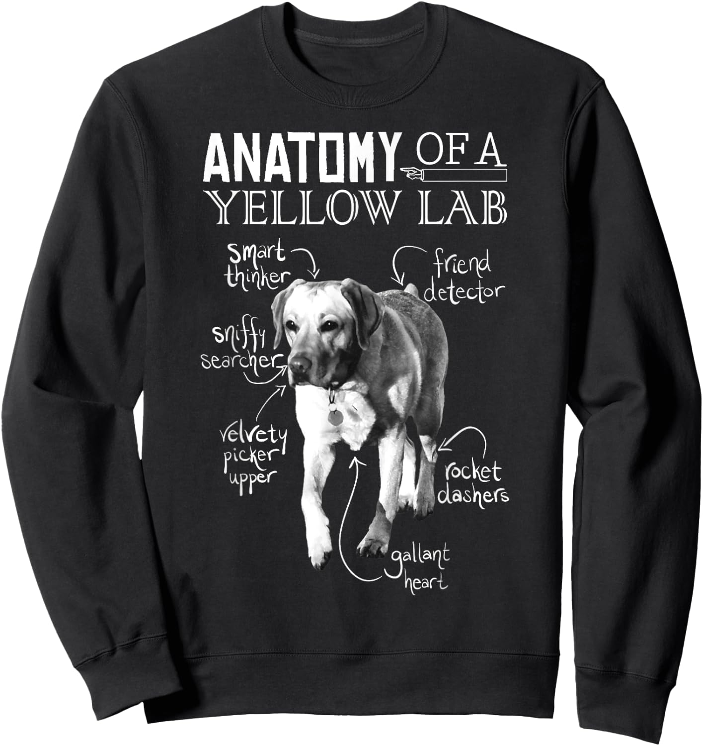 Anatomy of a Yellow Lab Chalkboard, Labrador Retriever Lover Sweatshirt - Sweatshirt | Black