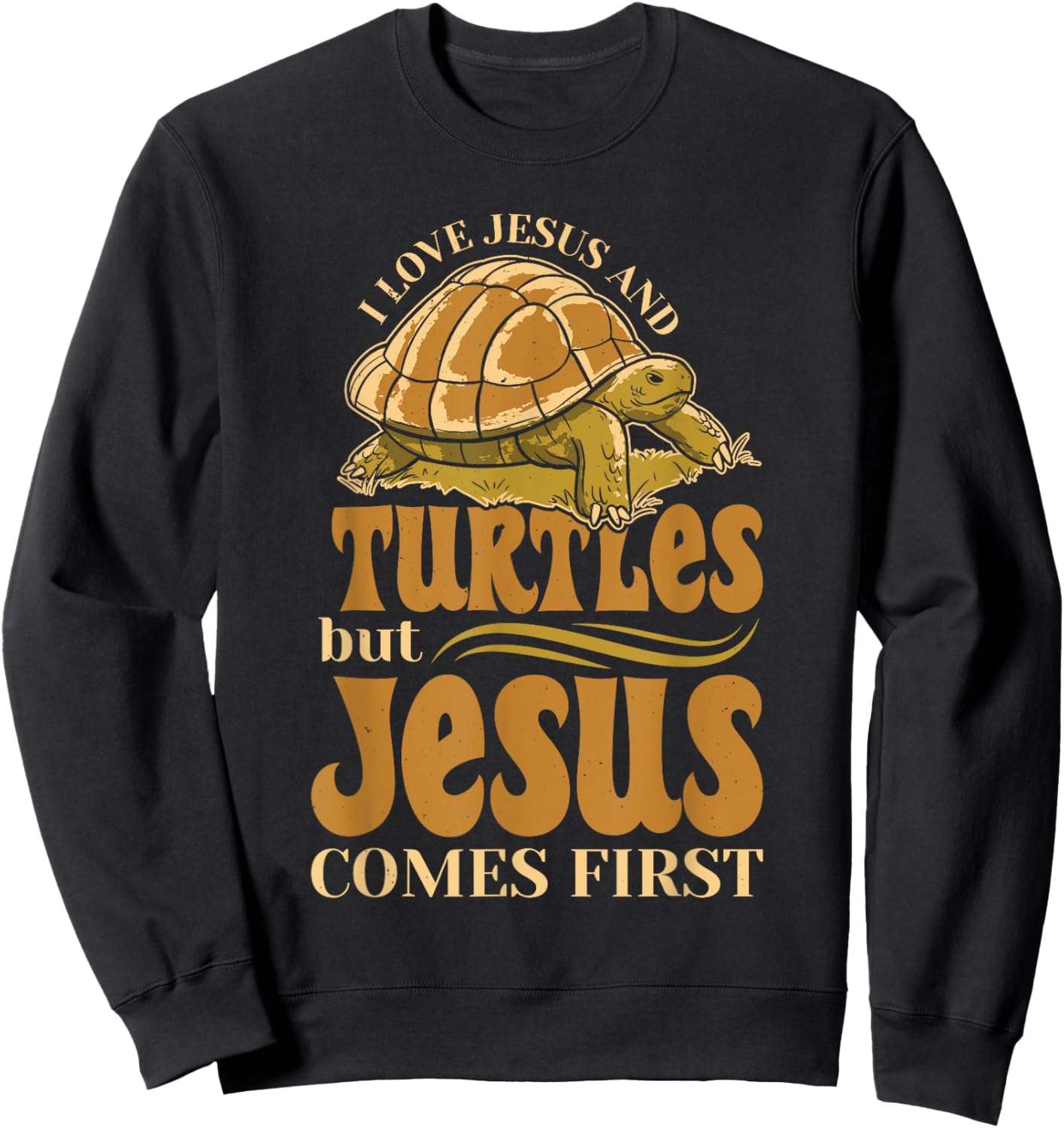 Turtles Lover Christian Religion Faith Jesus Catholic Sweatshirt - Sweatshirt | Black