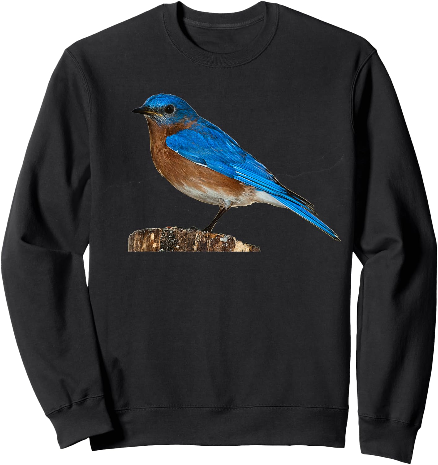 Bluebird Ornithology Bird Shirt Sweatshirt - Sweatshirt | Black