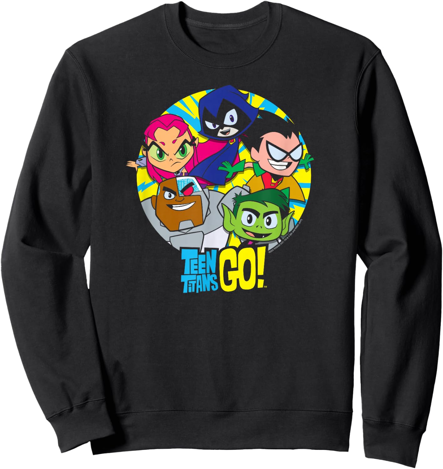Teen Titans Go! Go Go Group Small Sweatshirt - Sweatshirt | Black