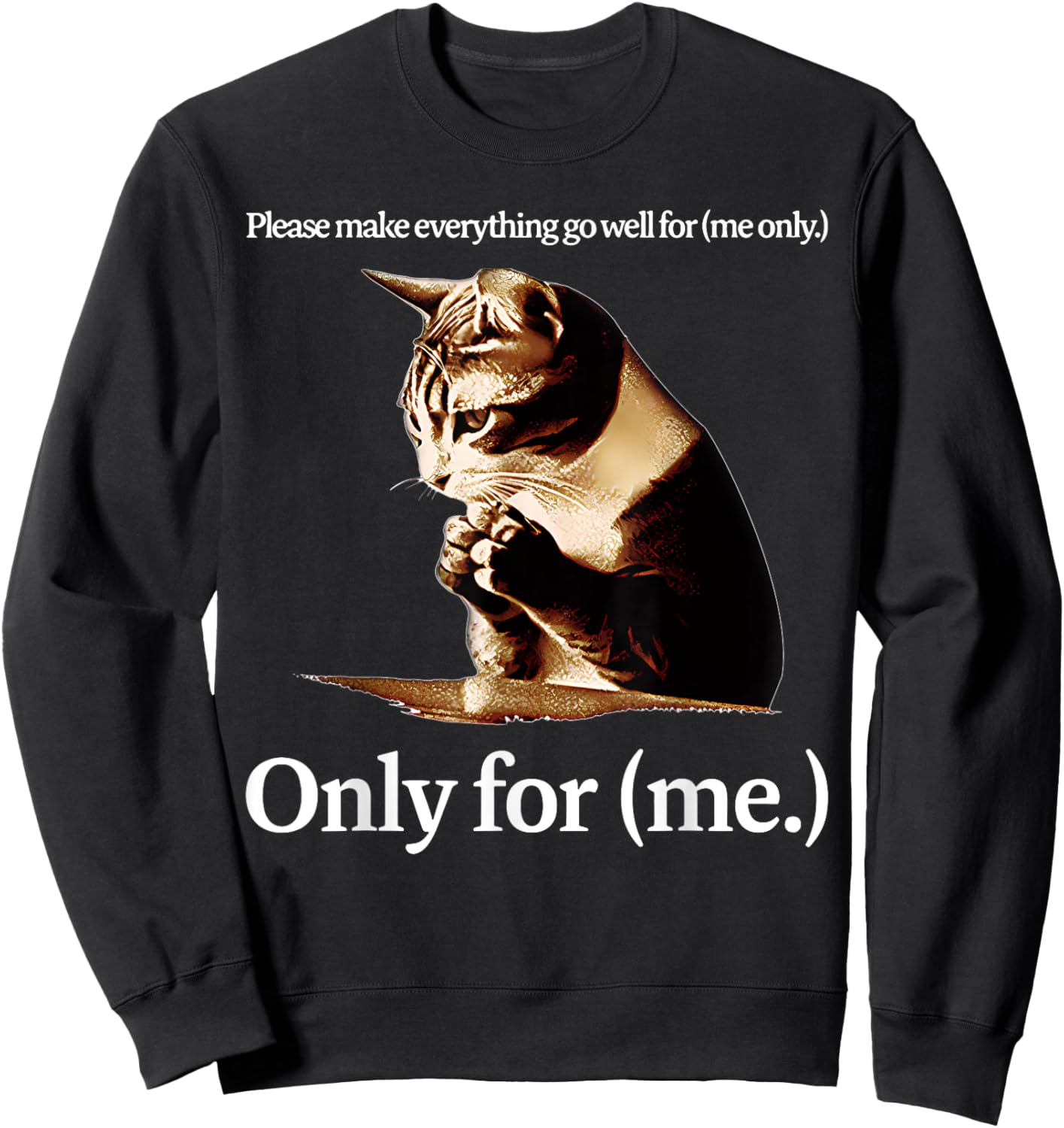 Cat Jesus Please Make Everything Go Well For Only For (Me) Sweatshirt - Sweatshirt | Black