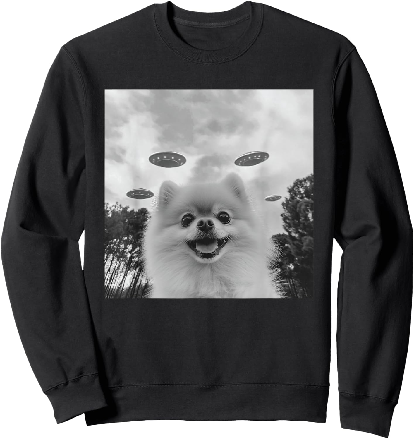 Cute Pomeranian Dog Selfie With UFO UAP Invasion Alien Sweatshirt - Sweatshirt | Black