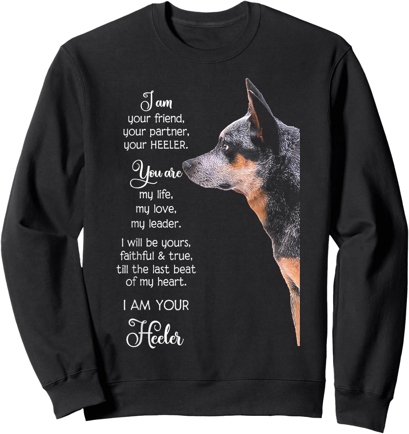 I Am Your Friend Your Partner Your Heeler Small Sweatshirt - Sweatshirt | Black