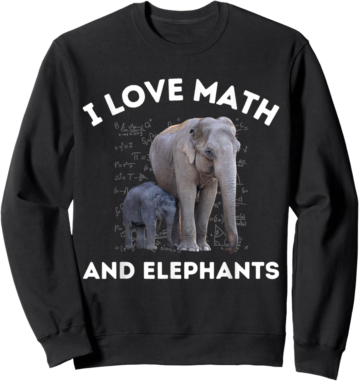 I Love Math and Elephants Elephant Lover Algebra Teacher Sweatshirt - Sweatshirt | Black