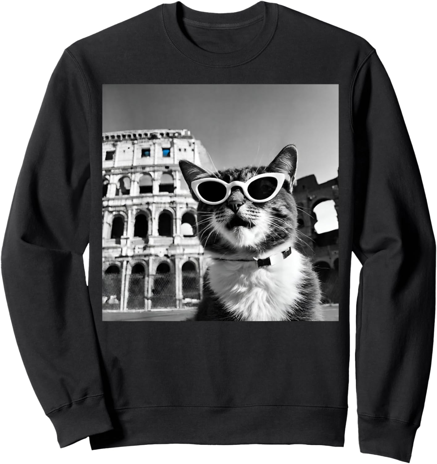 Funny Cat Wearing Sunglasses At The Roman Colosseum Sweatshirt - Sweatshirt | Black