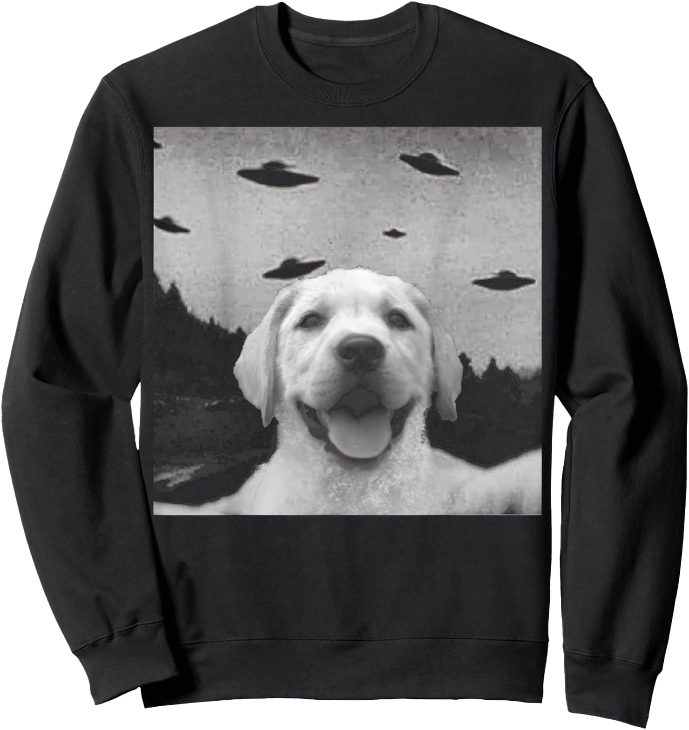 Alien UFO Selfie Labrador Sweatshirt - Sweatshirt | Black