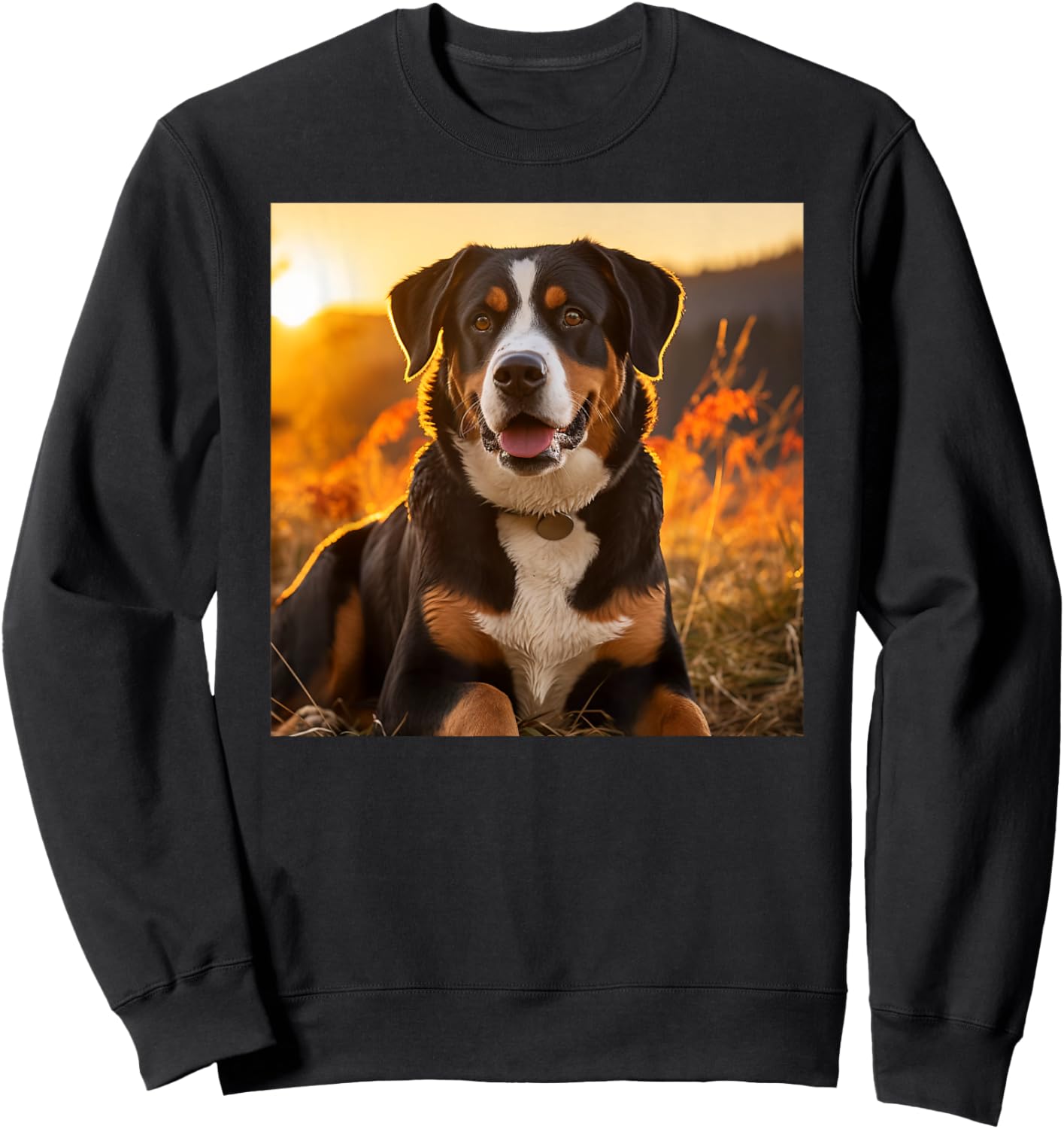 Greater Swiss Mountain Dog Sitting In The Sunset Photography Sweatshirt - Sweatshirt | Black