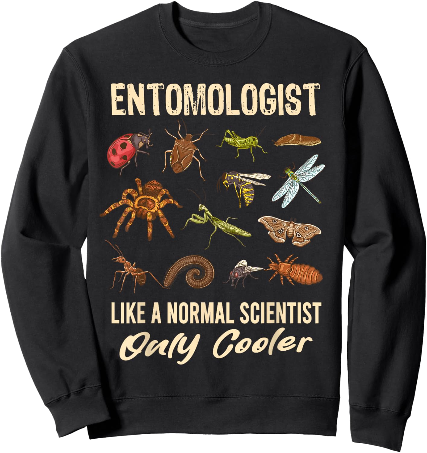 Entomologist Definition Funny Entomology Science Insect Sweatshirt - Sweatshirt | Black
