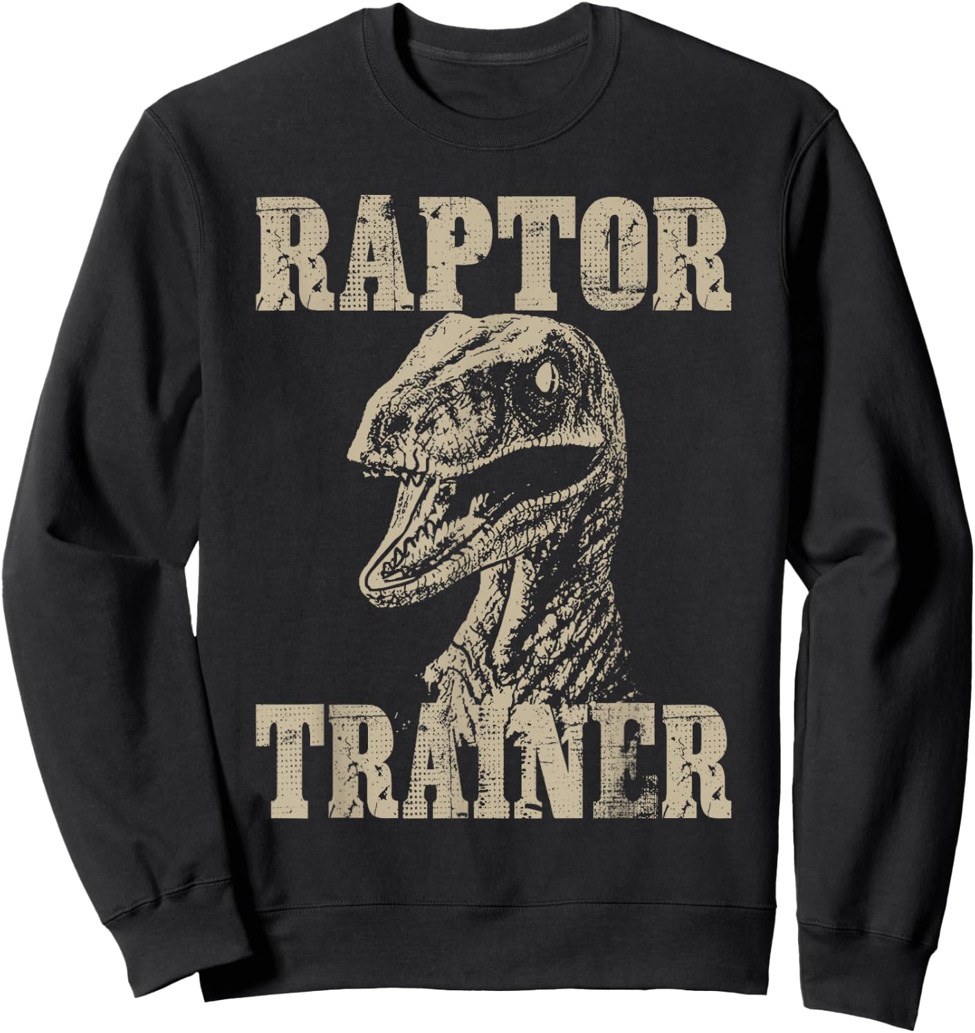 Raptor Trainer Funny Dinosaur Lover Halloween Costume Sweatshirt - Sweatshirt | Black